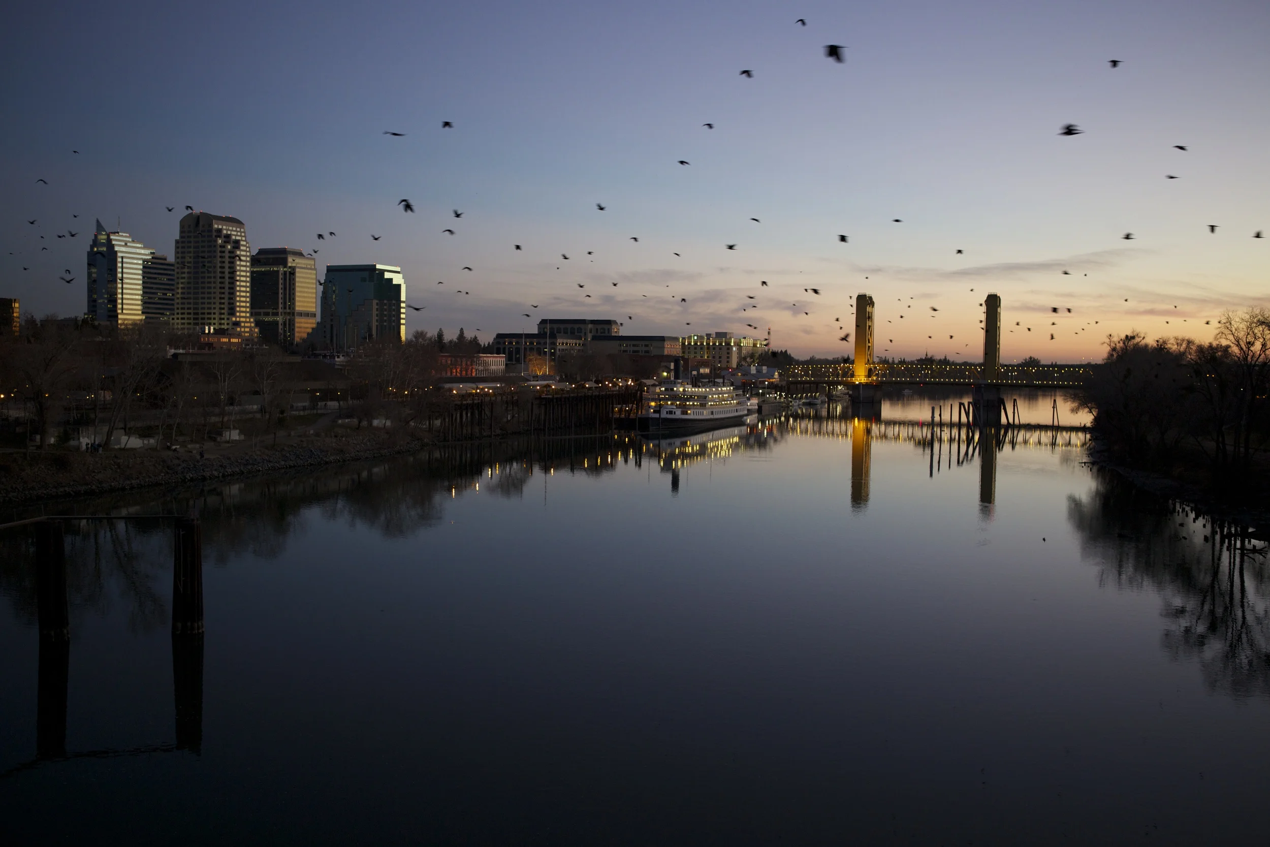 IMG_0339-1 copy.jpg