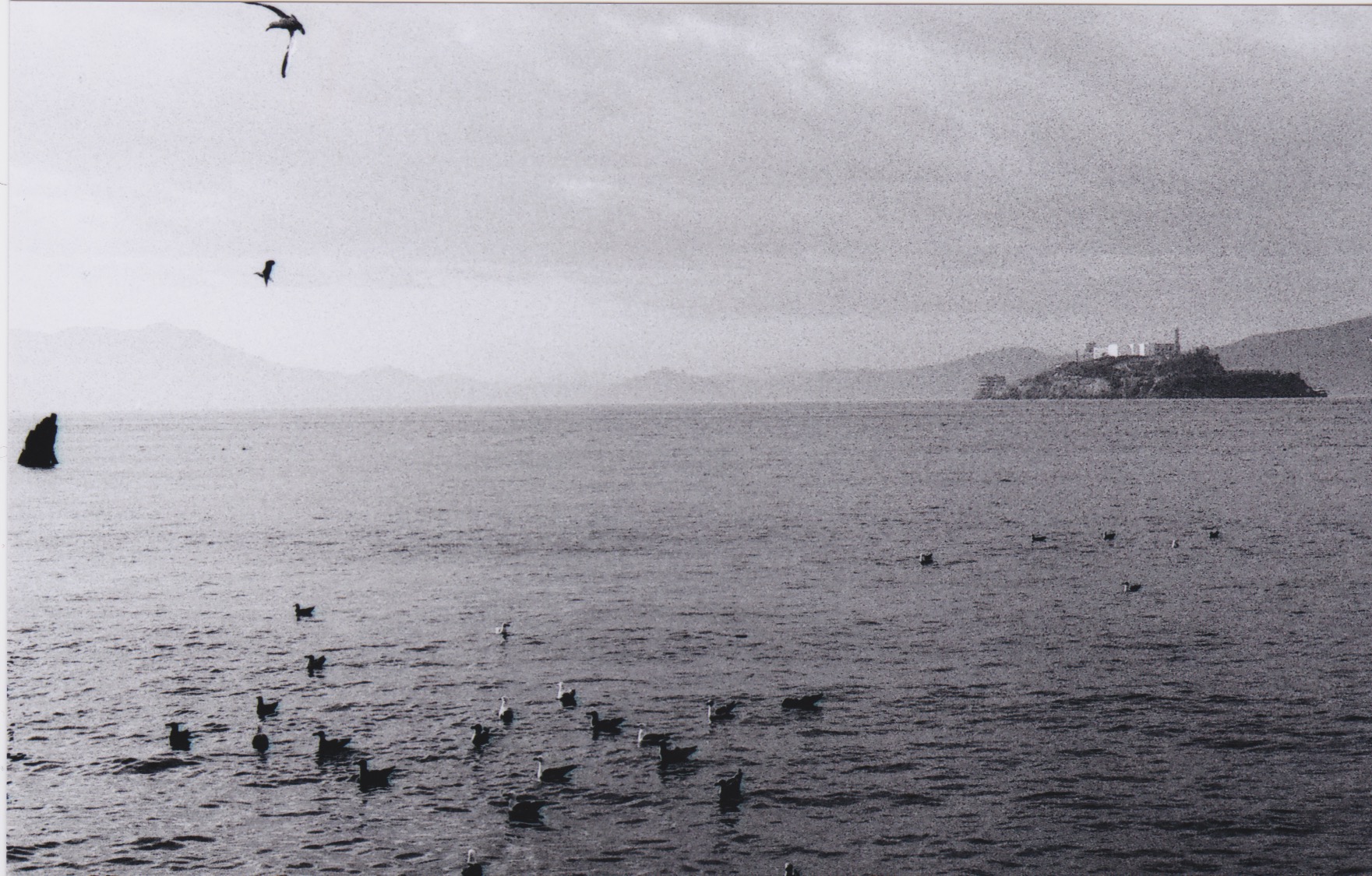 Scan 20.jpeg