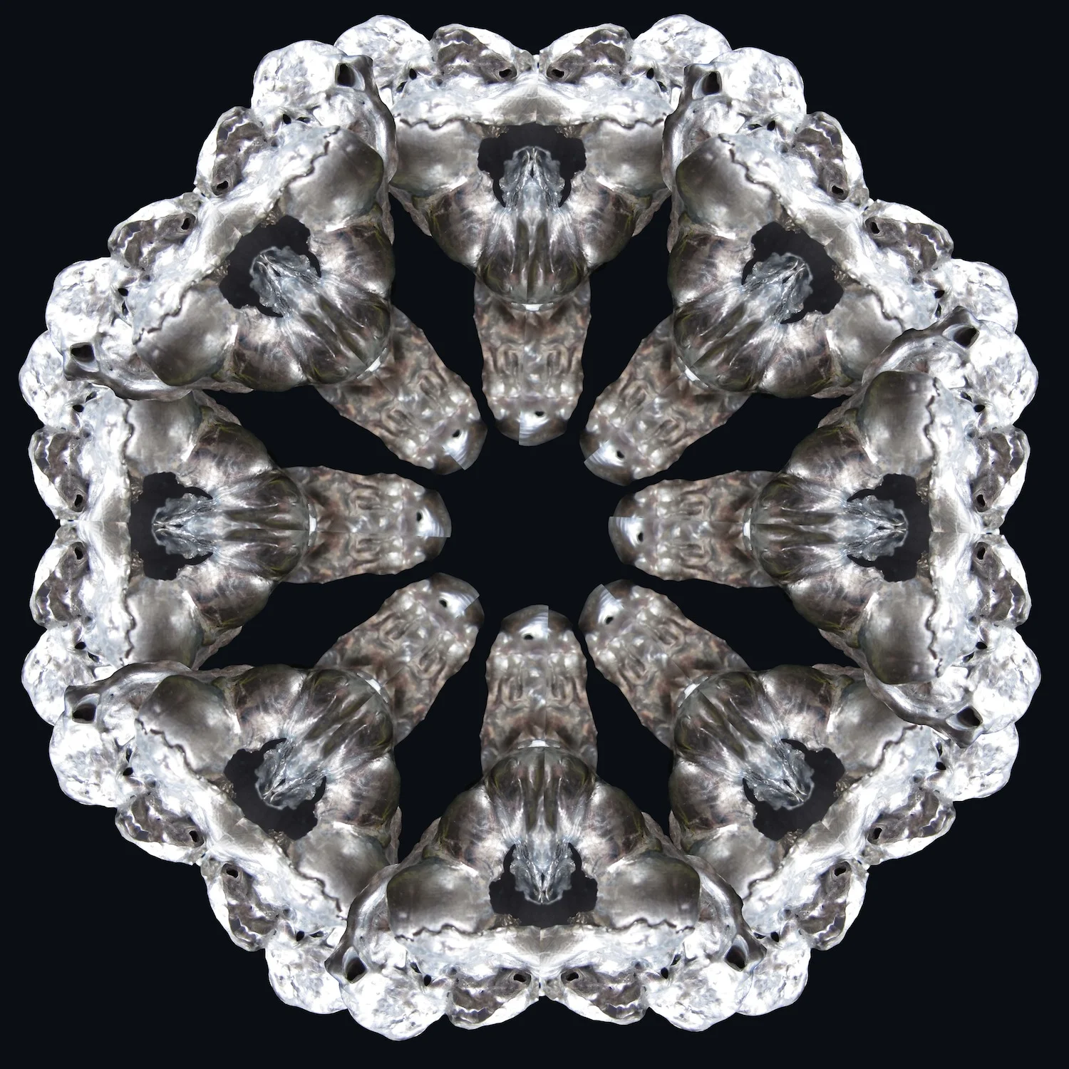 fusion-1-3.jpg