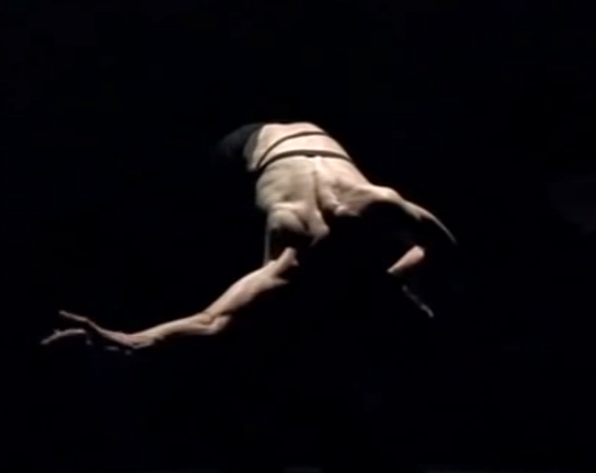 Sylvie Guillem - Two (Rise and Fall)