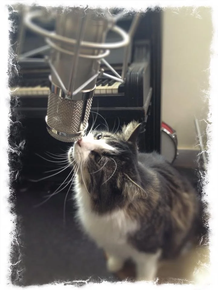 Lyra at microphone.jpeg
