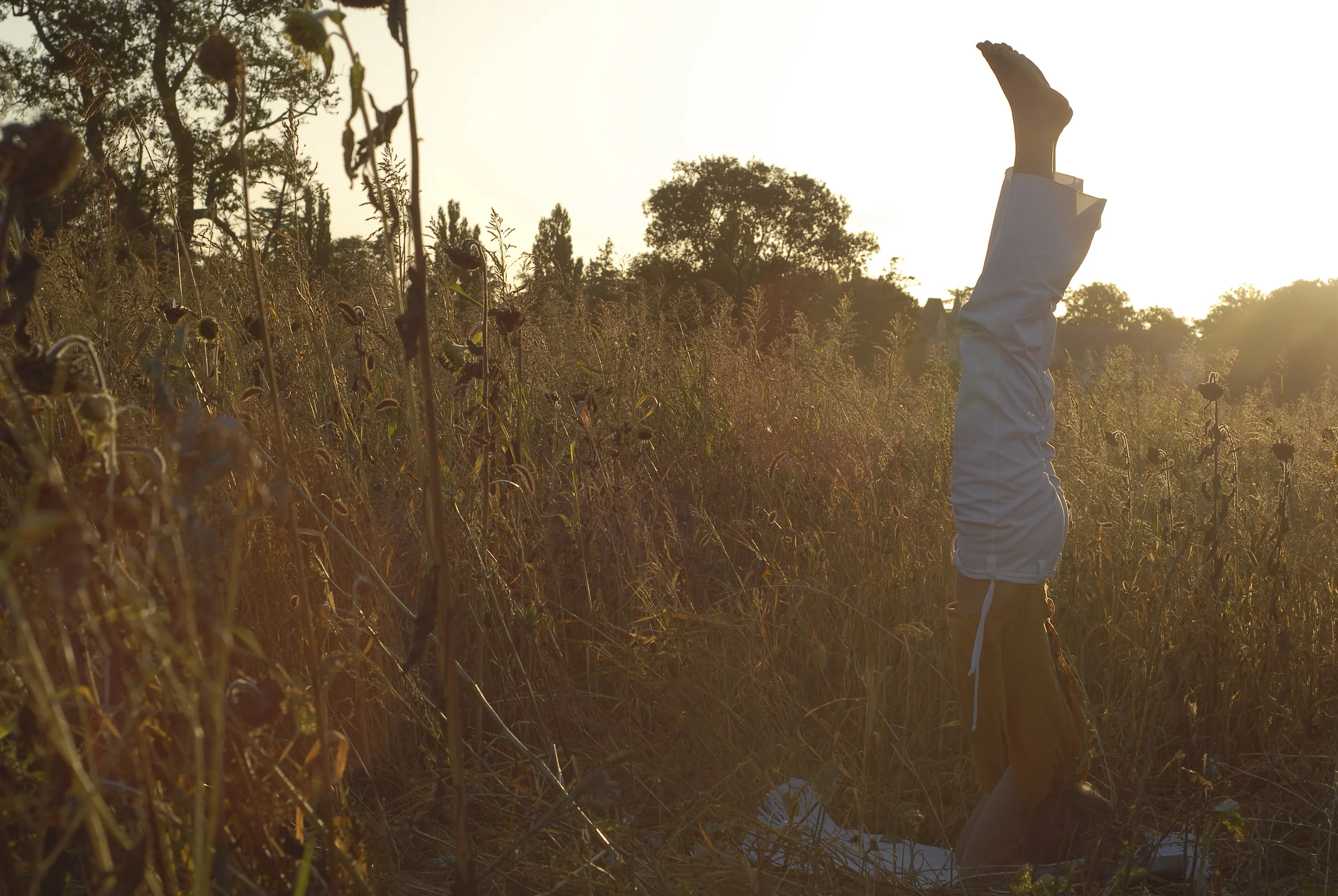 Les cours de yoga à l'atelier Zuli