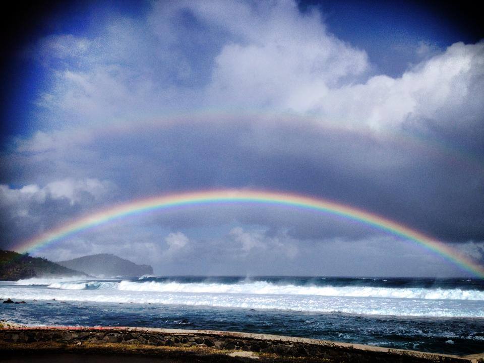 © Le Zinzin, 153 avenue Daniel Ramin 97410 Grand Bois, La Réunion. Tél : 0692 76 51 15. Email : zinzinlamalis@gmail.com