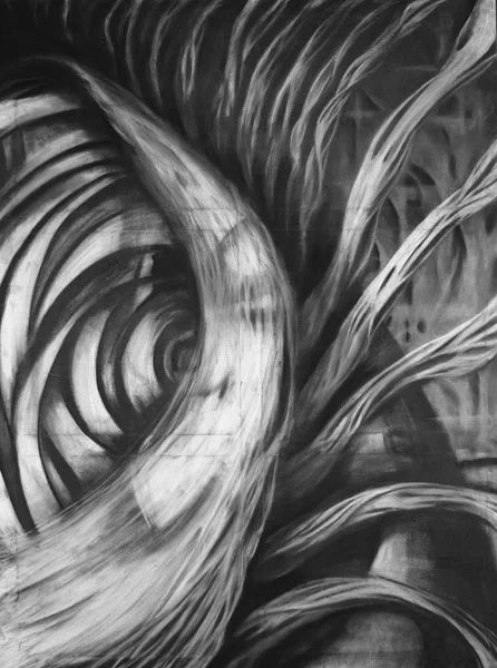 Grow - 42 x 36 - Charcoal on Canvas