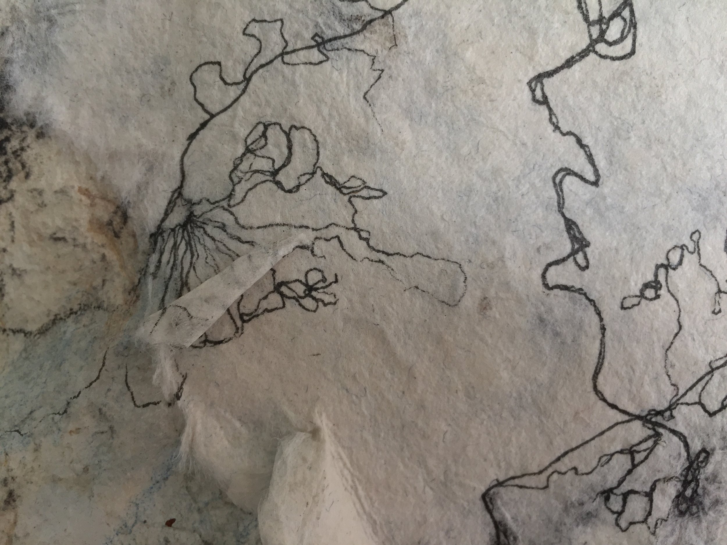 Detail