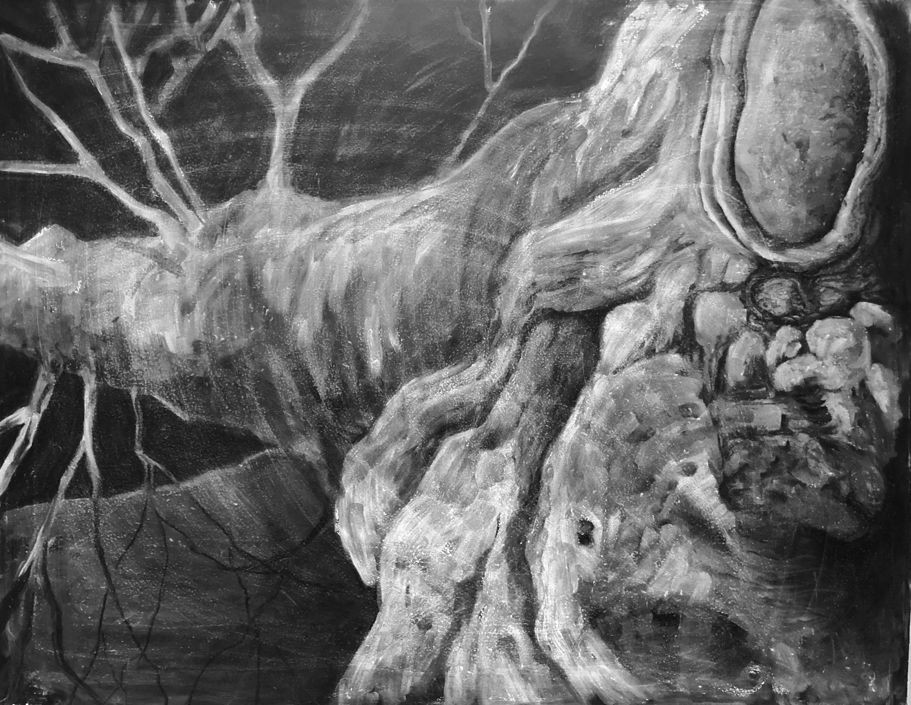 Untitled Temporary Public Drawing