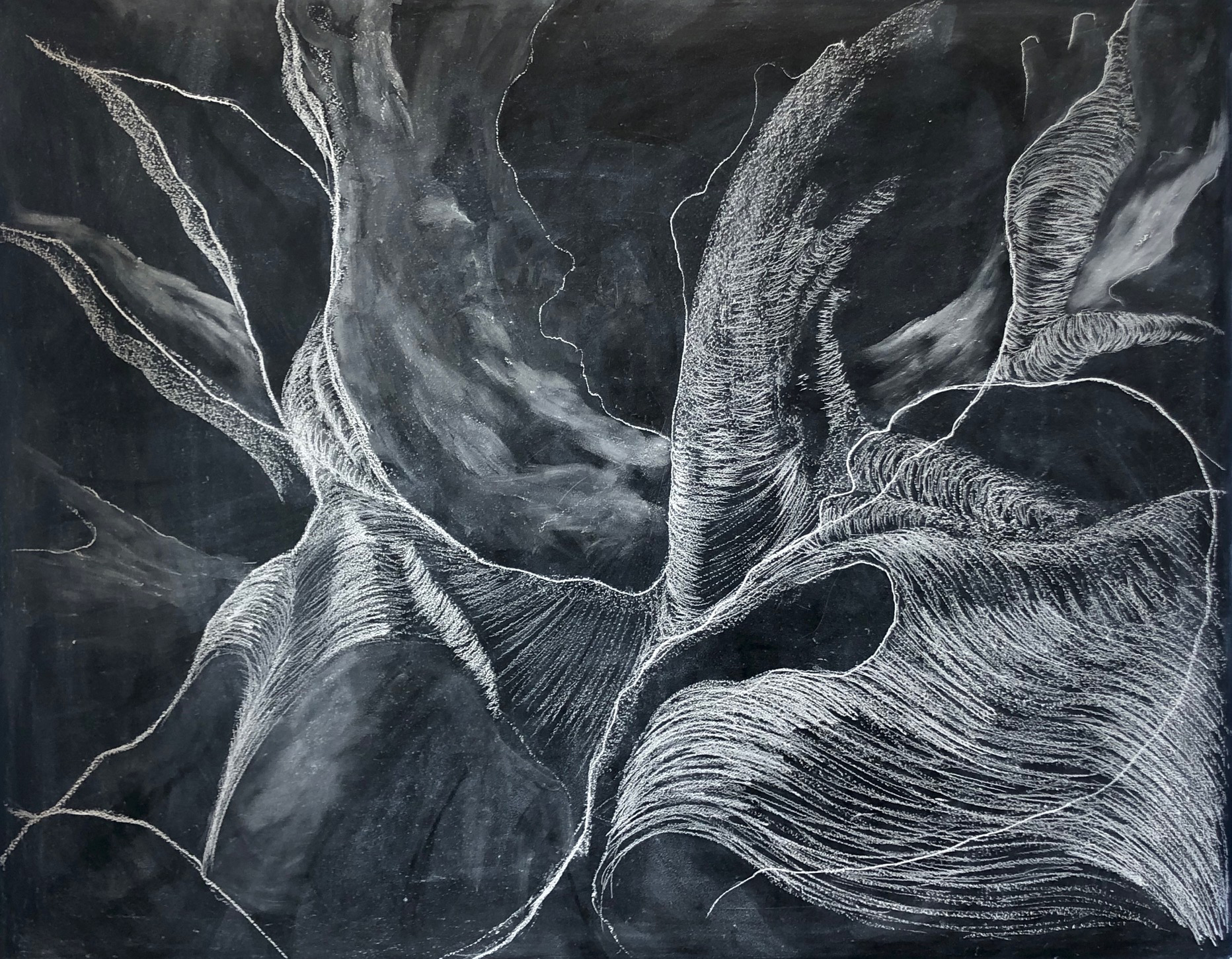 Untitled Temporary Public Drawing