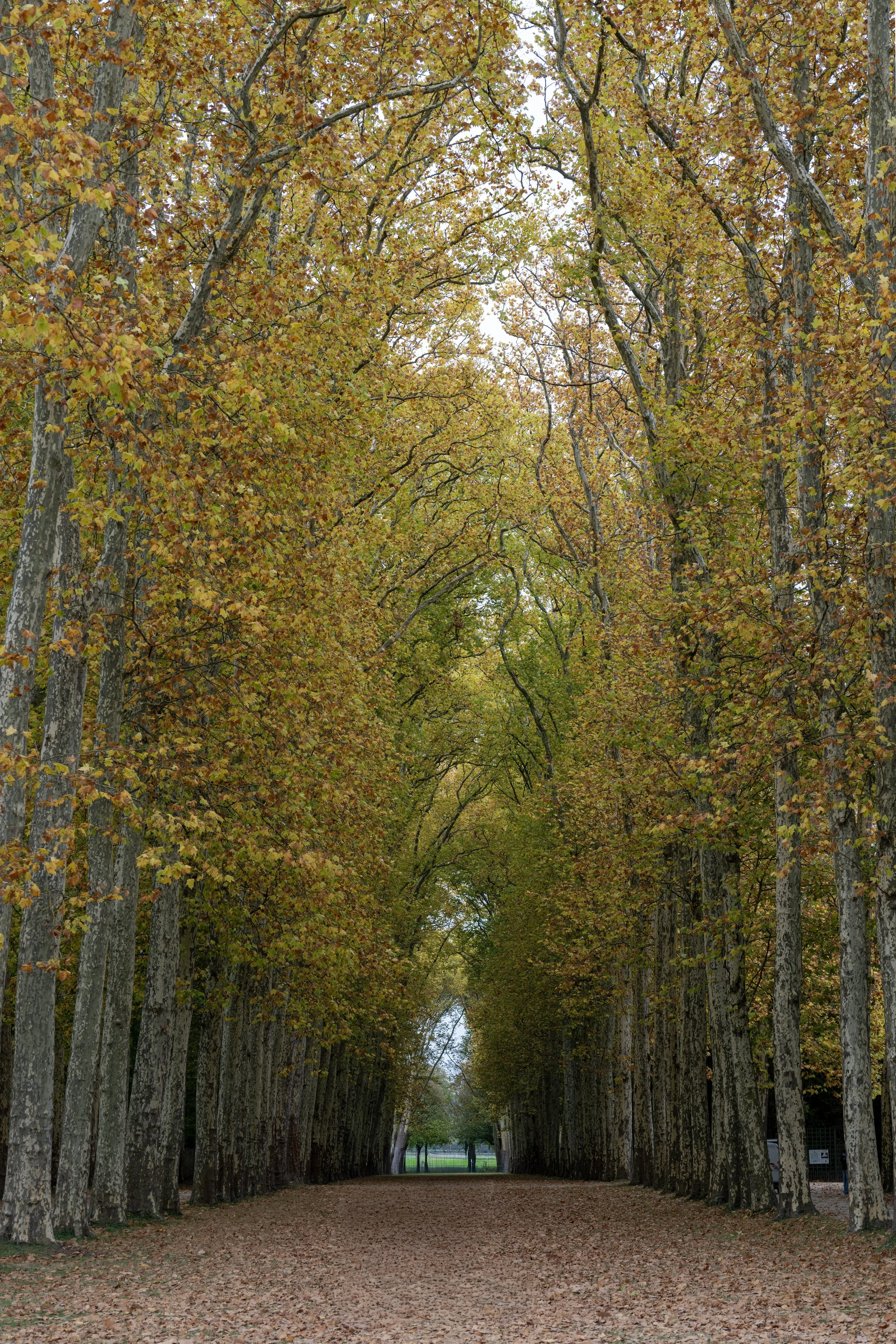 _DSC1778-HDR.jpg