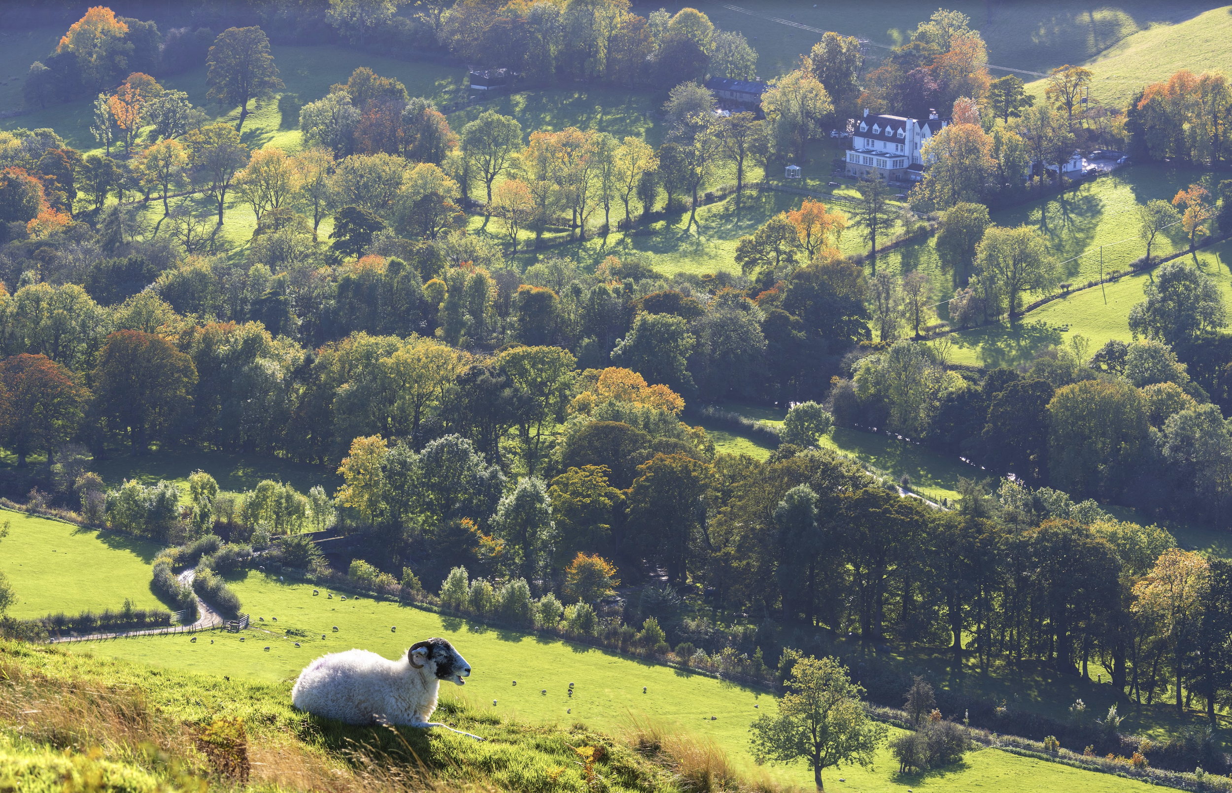  '20 best wild places to eat in Britain' - The Times     Book now   