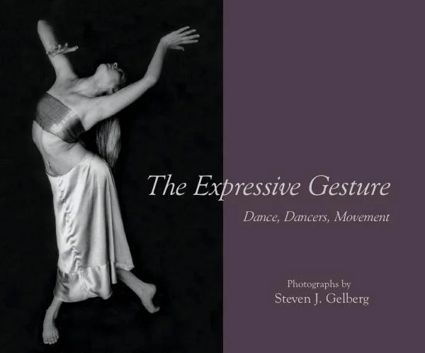 ExpGesture.jpg