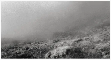 L030 copy.jpg
