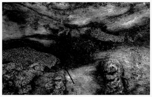 D072 copy.jpg