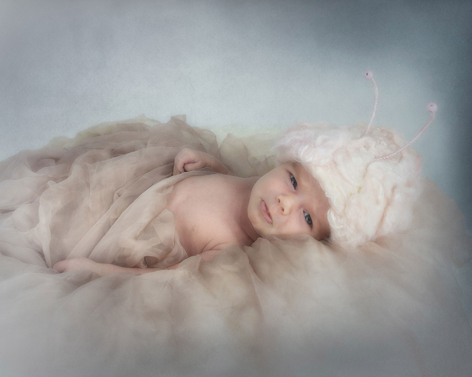 regina-newborn-photographers-free-lense-photo-003.jpg