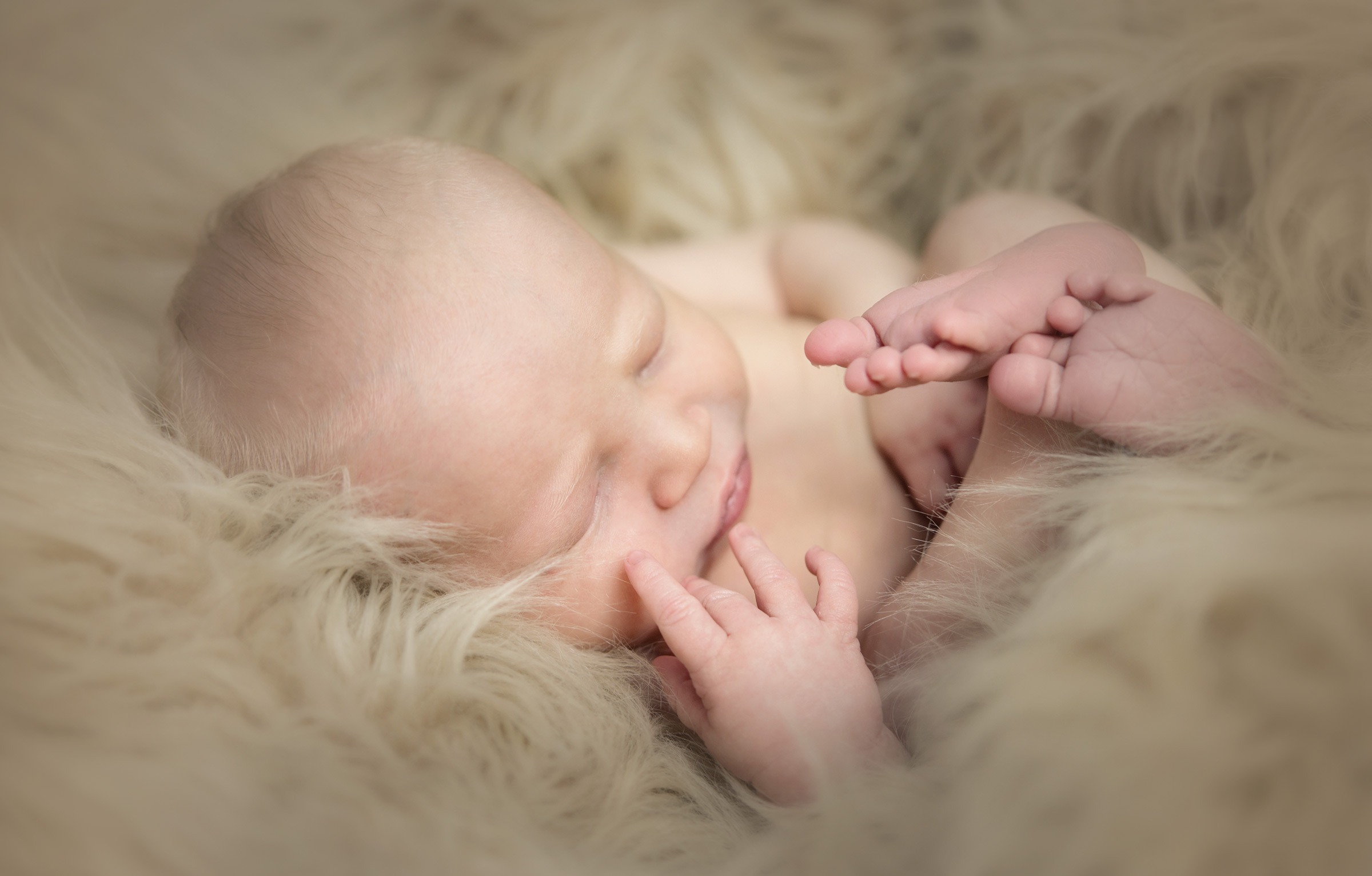 regina-newborn-photographers-free-lense-photo-025.jpg