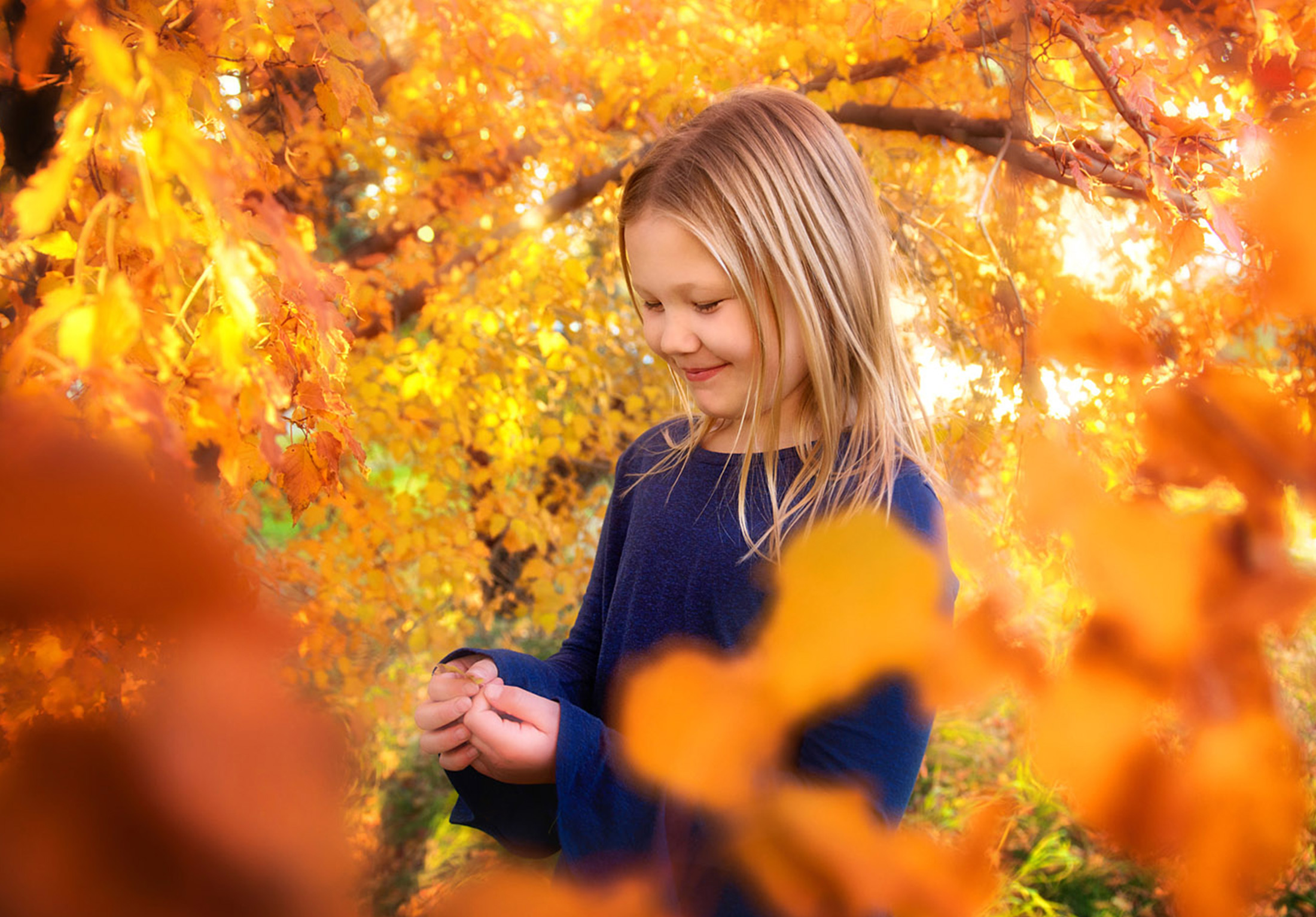 you-are-my-sunshine-fall-sessions-regina-free-lense-photo-01.jpg