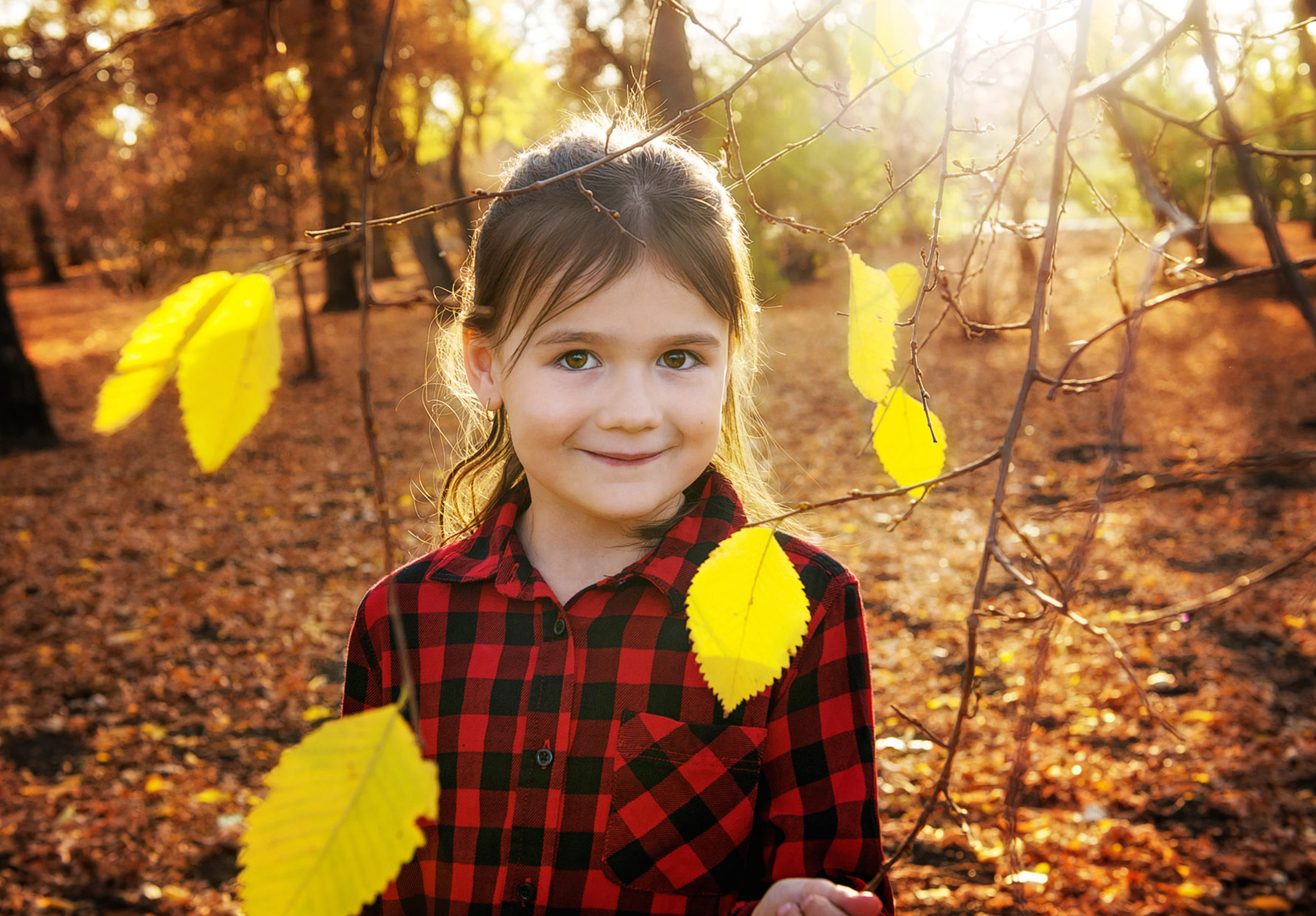 you-are-my-sunshine-fall-sessions-regina-free-lense-photo-41.jpg