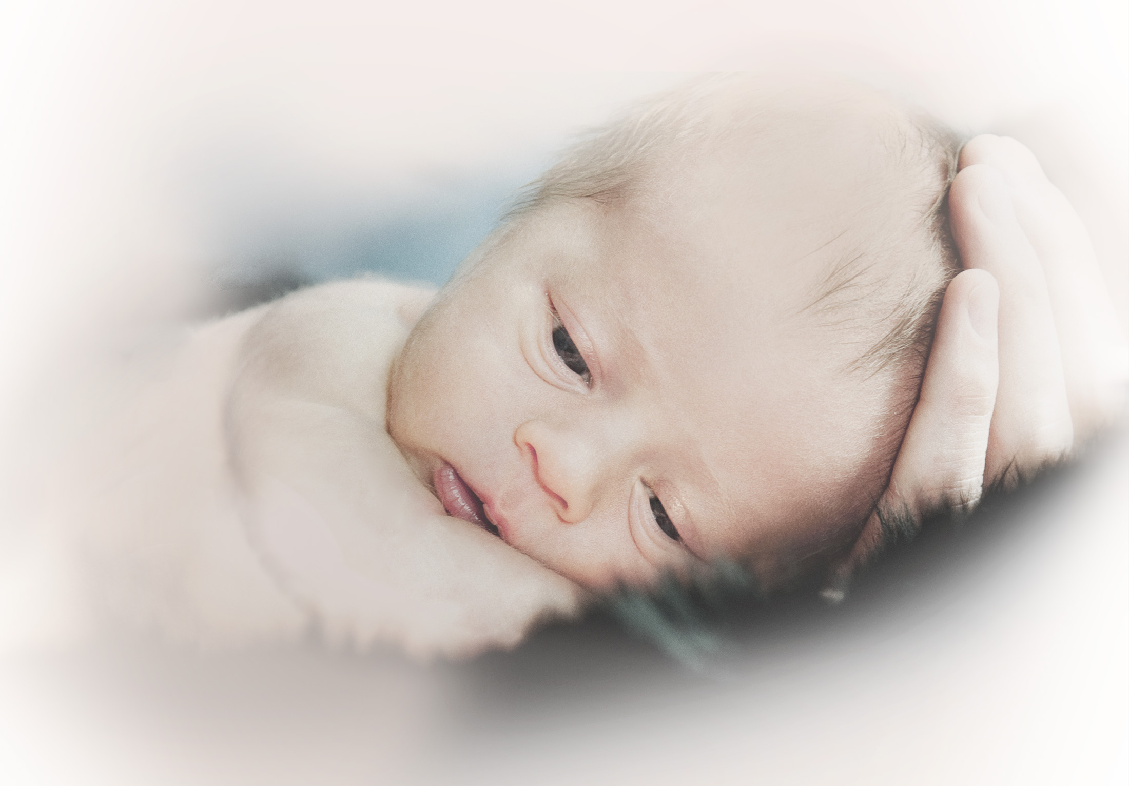 regina-newborn-photographers-free-lense-photo-030.jpg