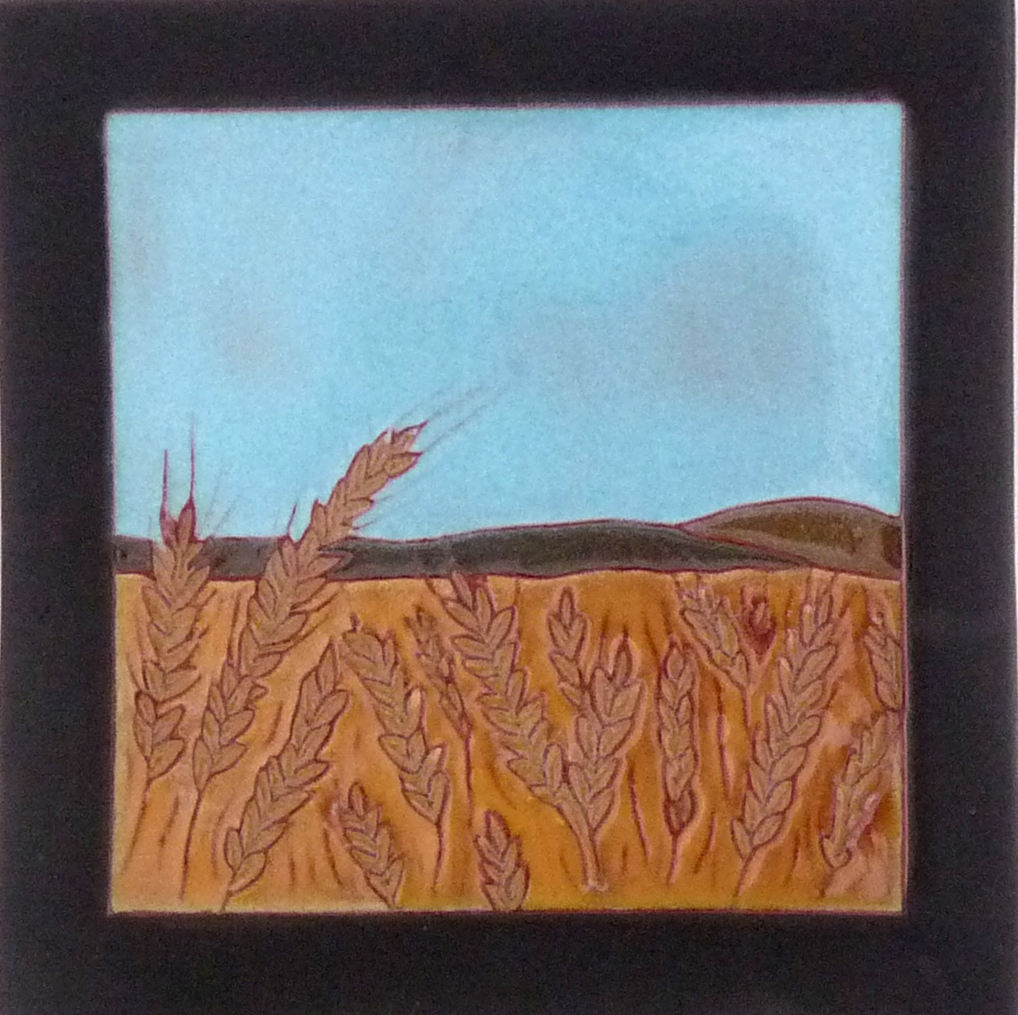 Barley field.jpg