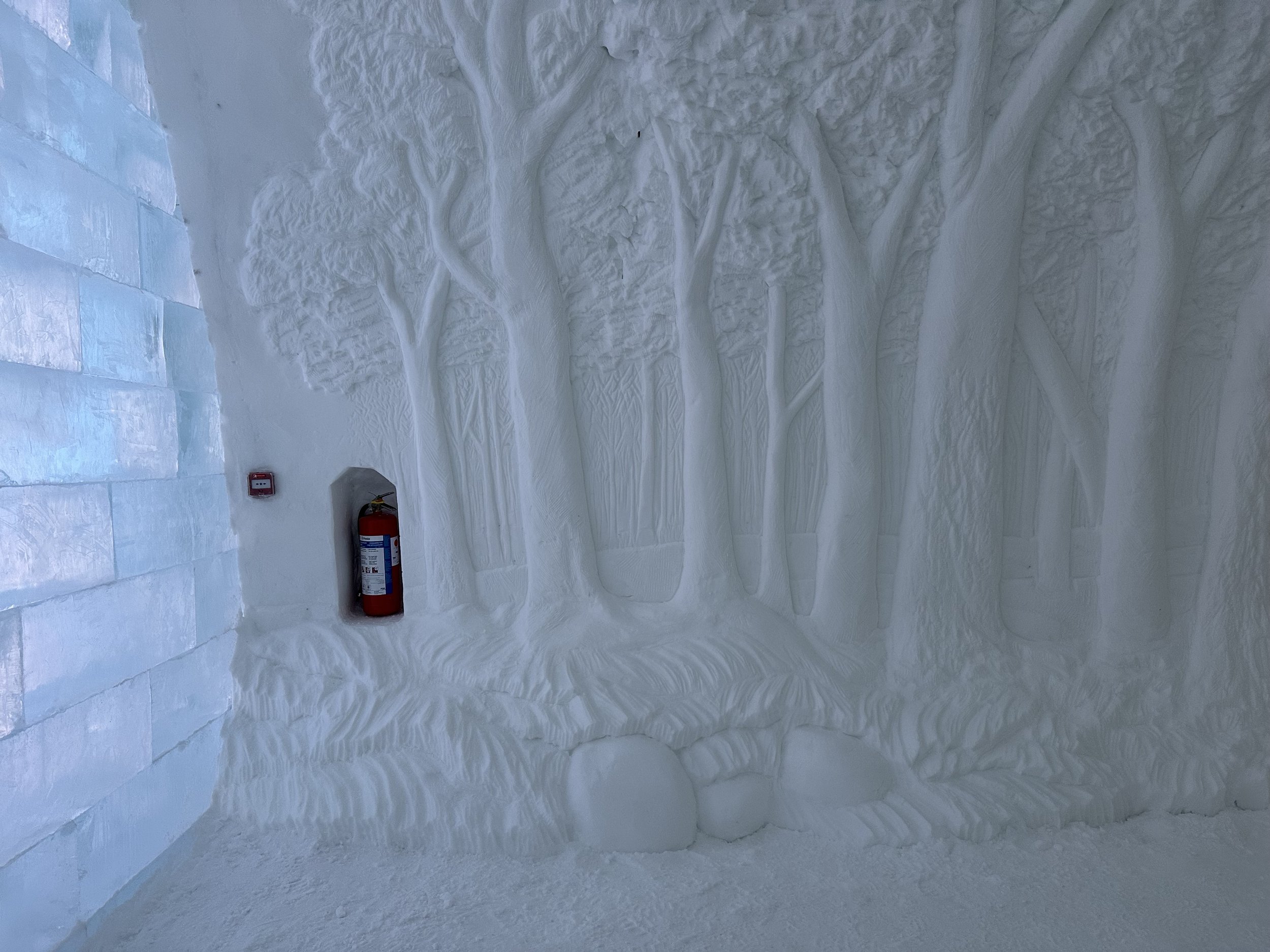 IMG_6329 DDetarando.JPG