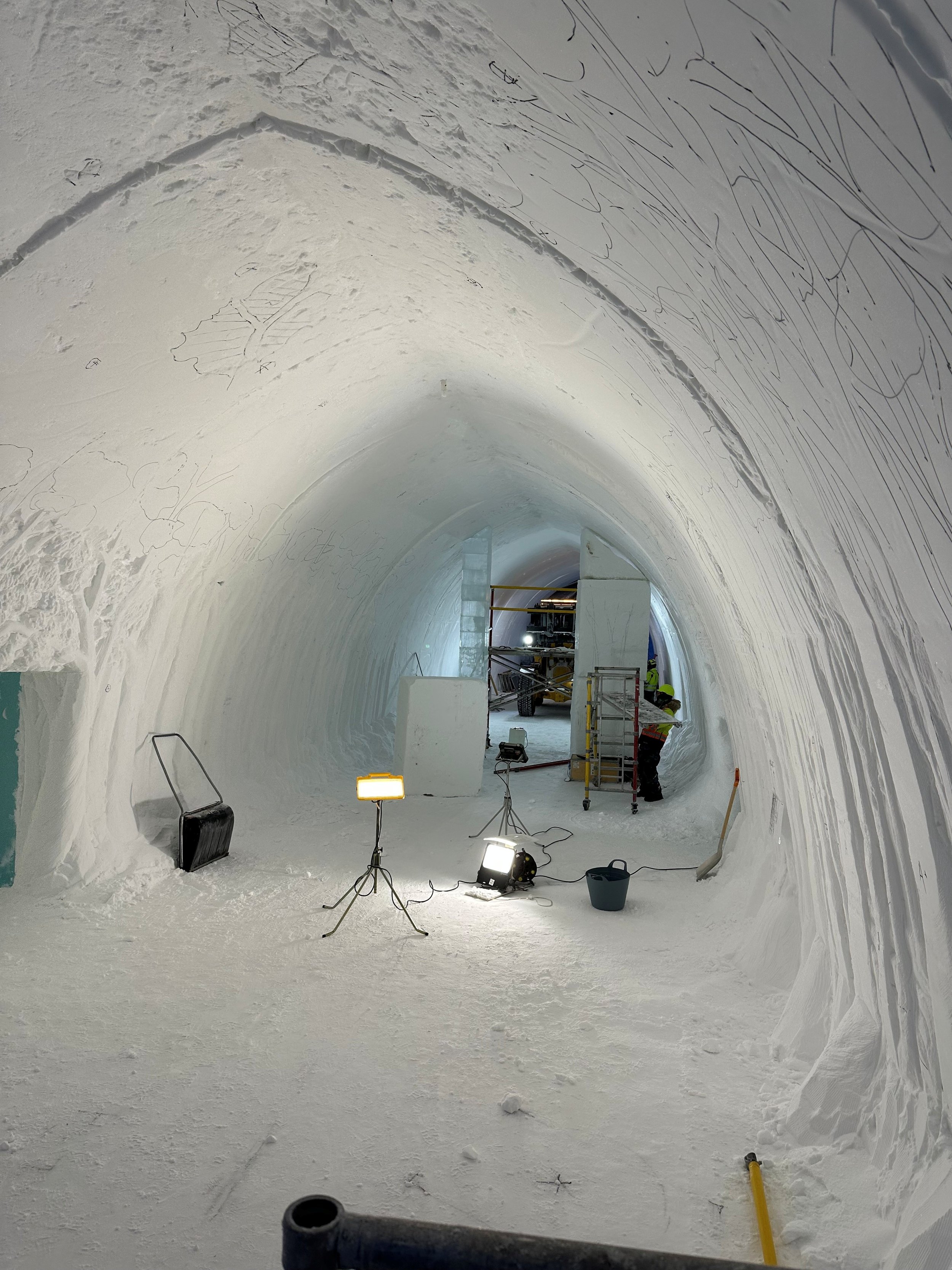 first tree blocks up.jpg