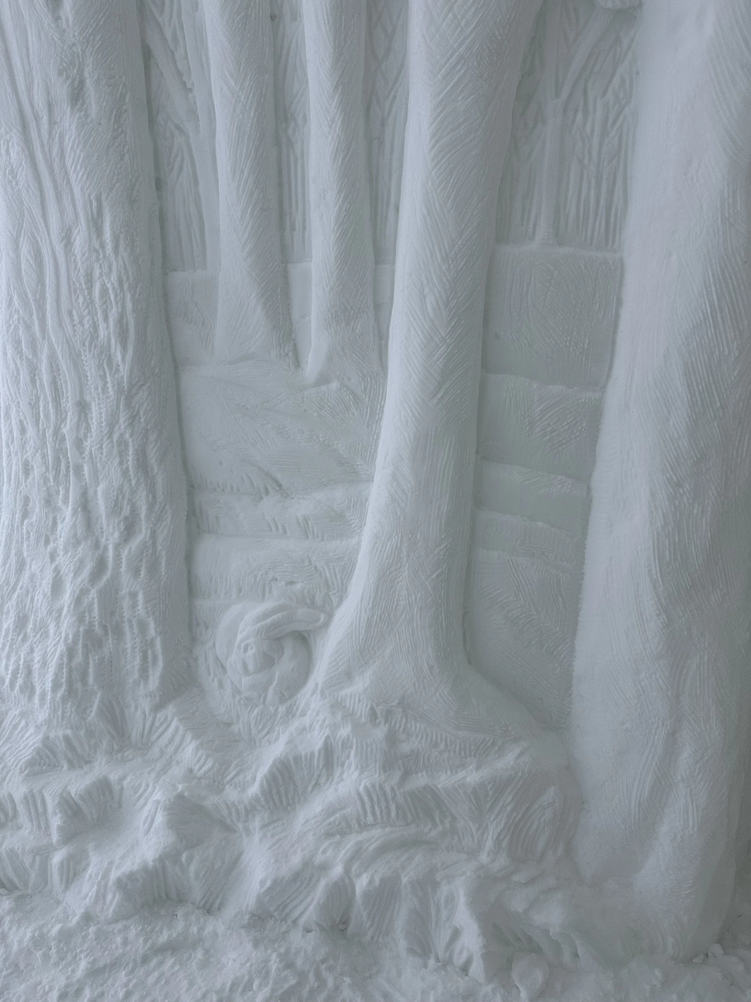 IMG_6449 DDetarando.JPG