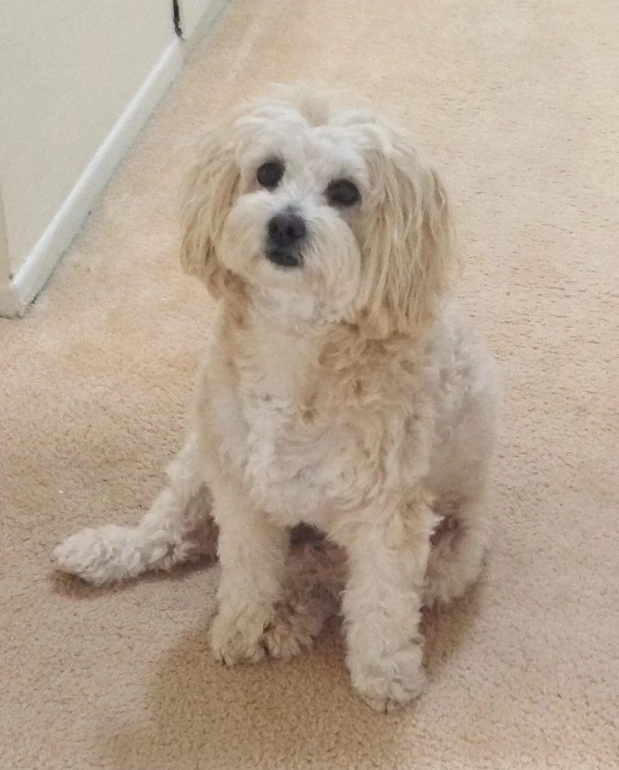 Talley May 2013.jpg