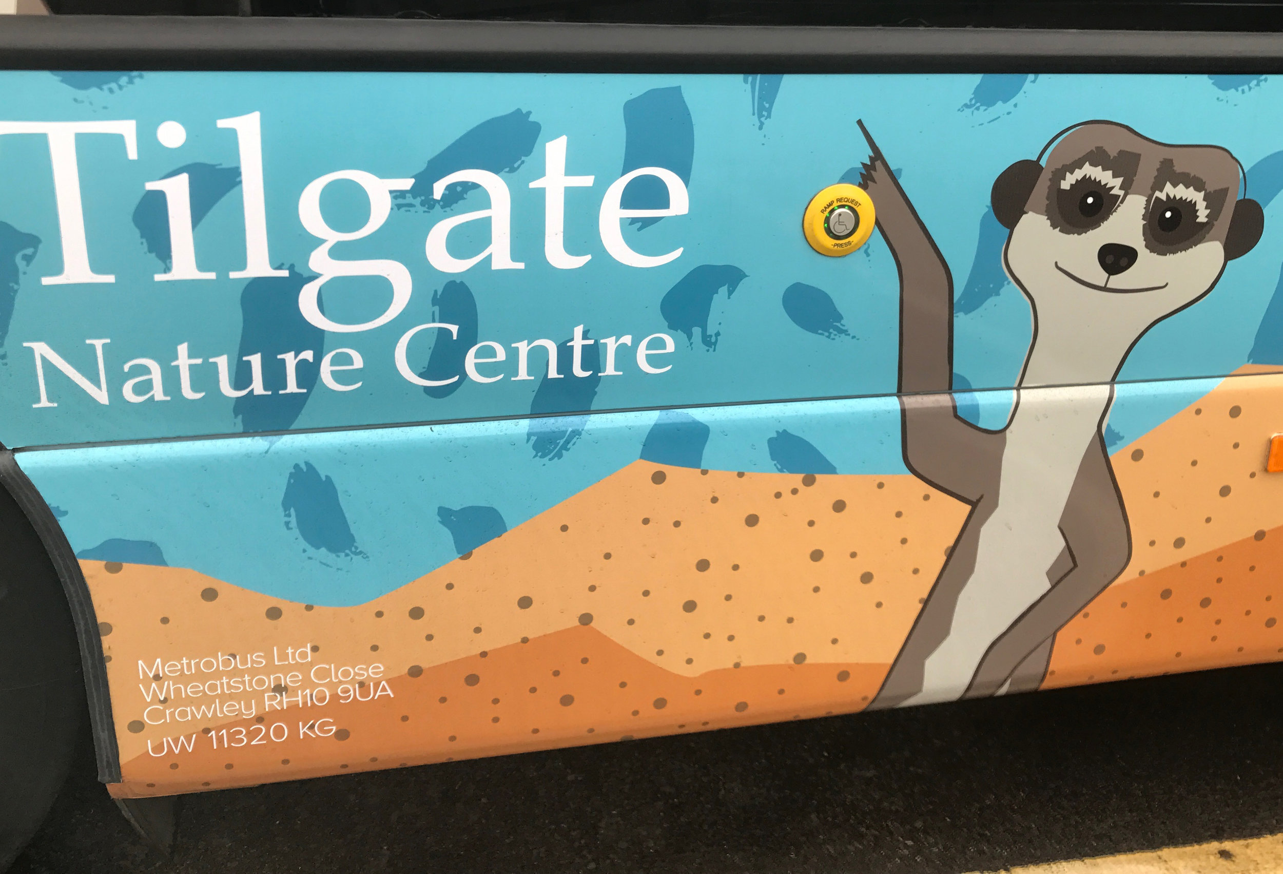 Illustration, graphic design, bus Tilgate Nature Centre