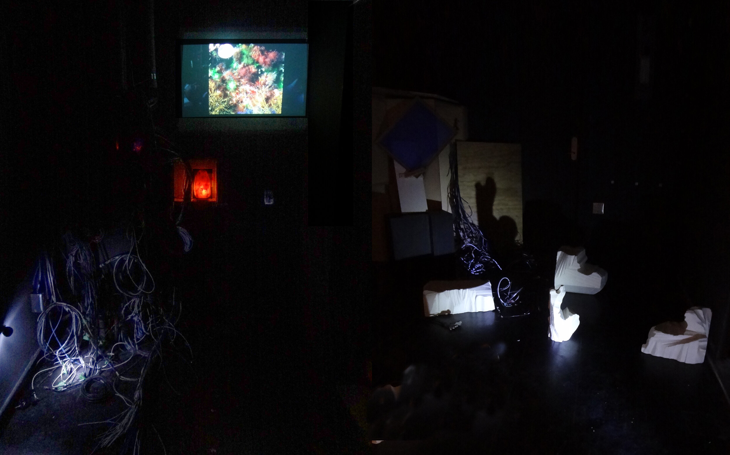  Half the people will like you,  2016, Dimensions Variable, Mixed Media 