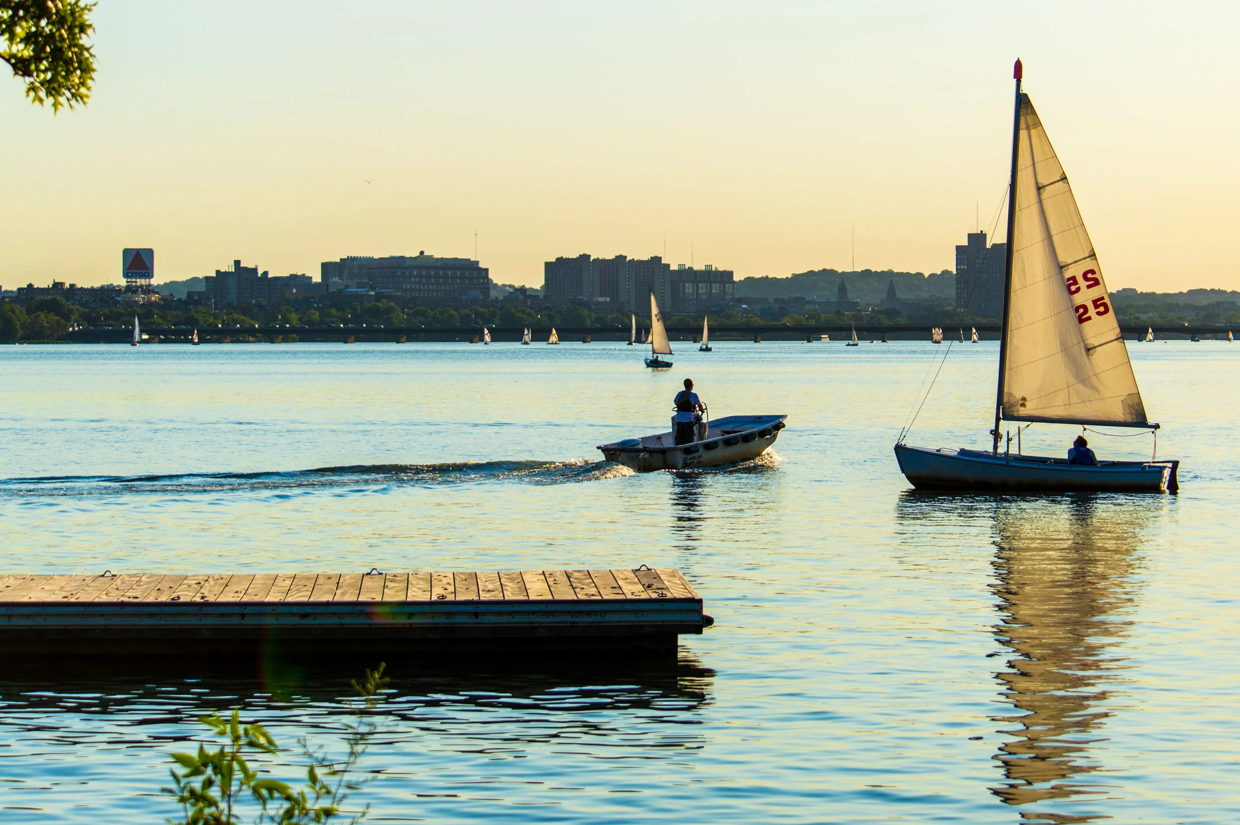 DSC_0126-1.jpg