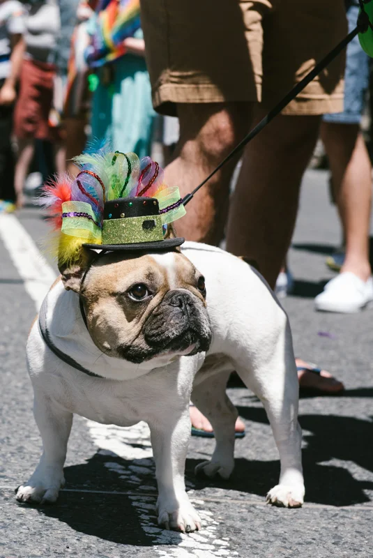 BostonPride2019_Sm-56.jpg
