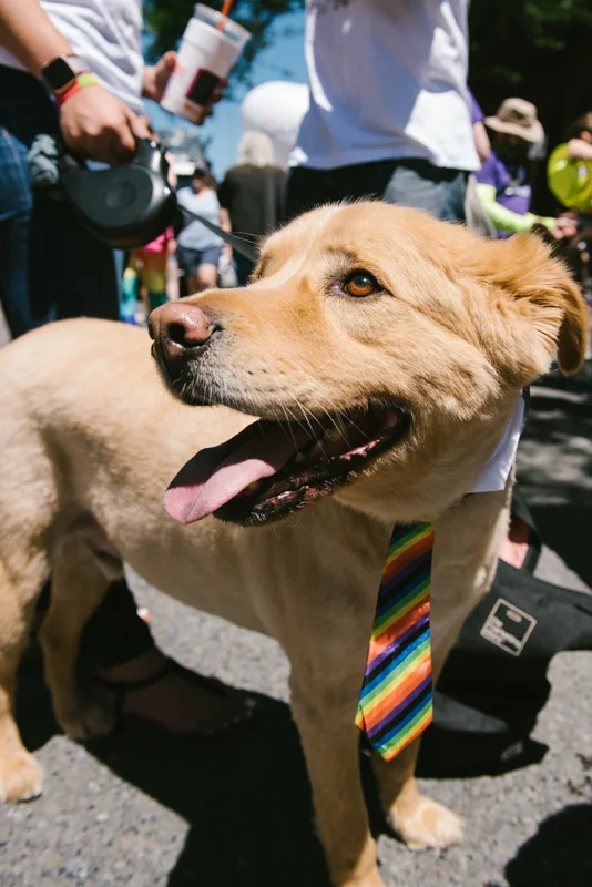 BostonPride2019_Sm.jpg