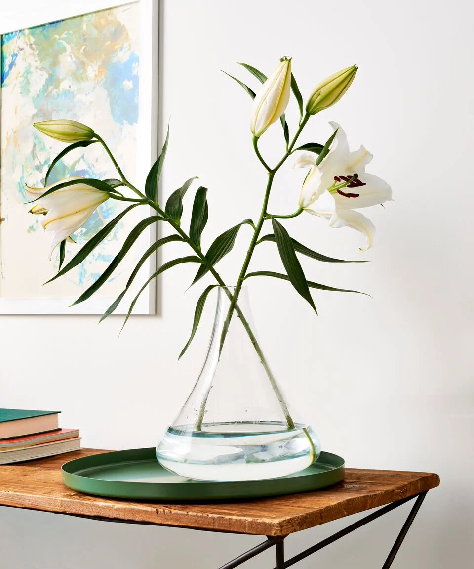 photograph by Chelsea Cavanaugh art direction by Laura Lutz
