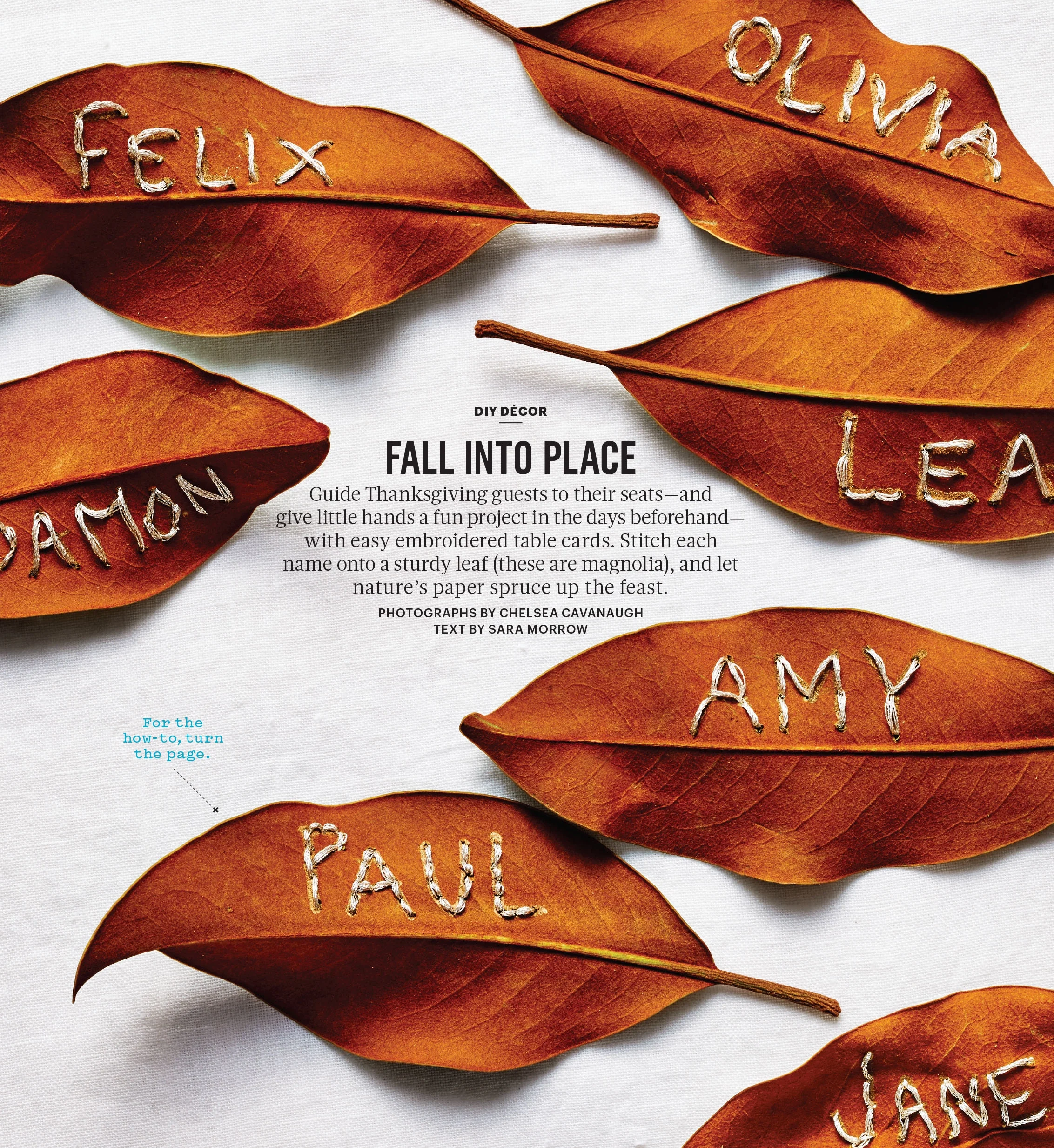 photograph by Chelsea Cavanaugh art direction by Laura Lutz