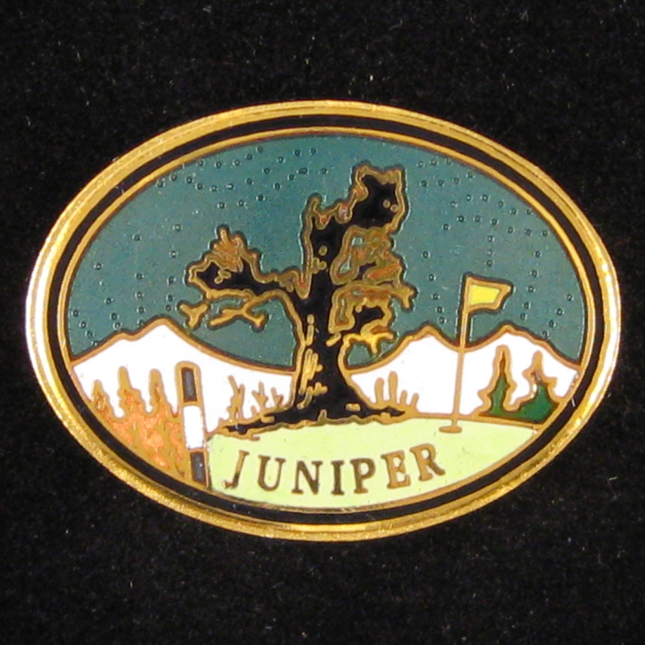 Juniper - Front Blue