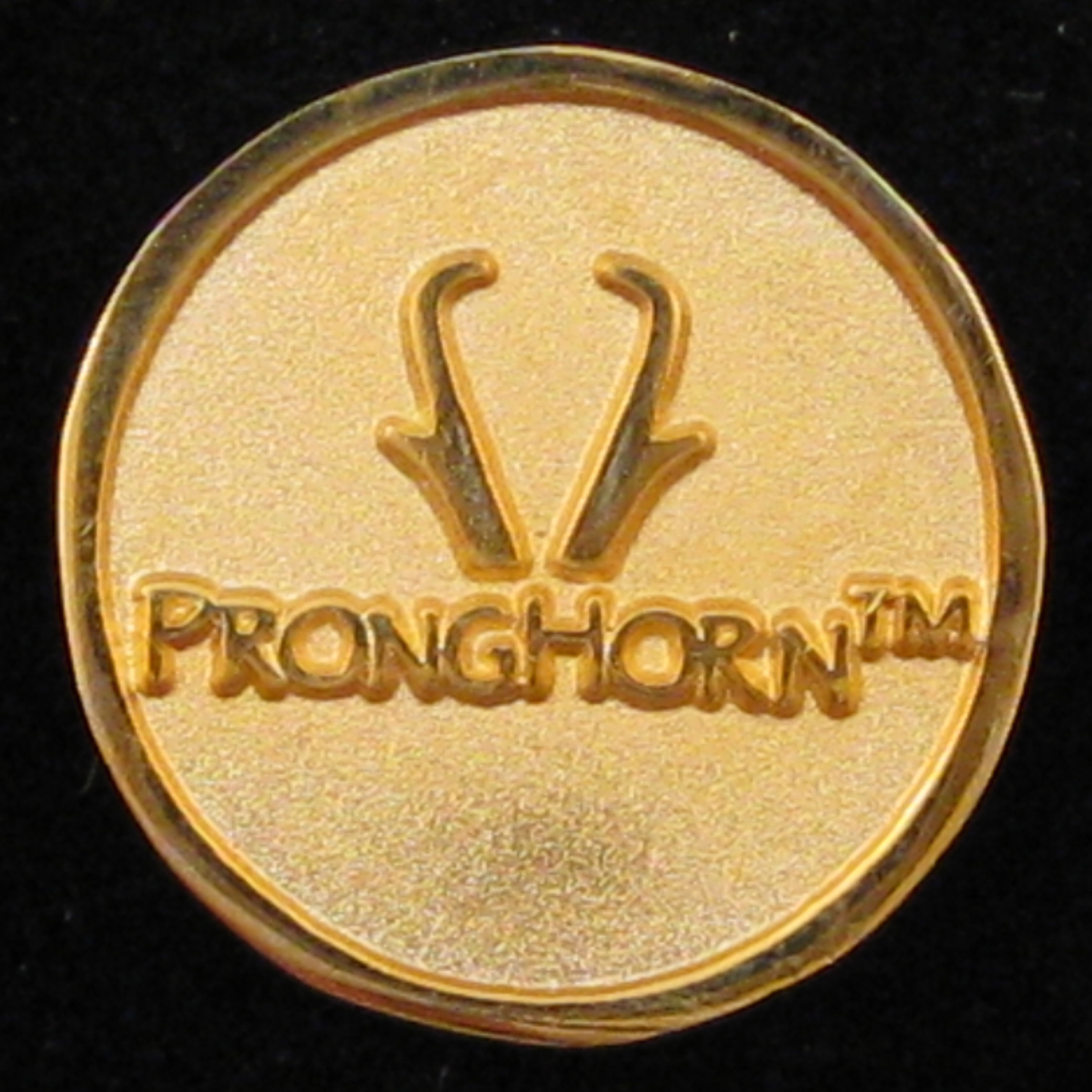 Pronghorn - Back