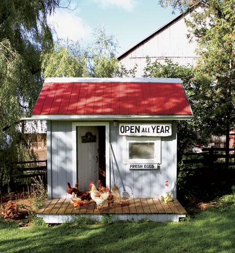 chicken coop 3.jpg