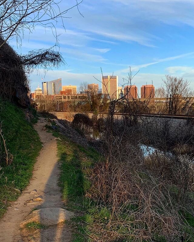 Saw so many friends in the park yesterday! #urbanhiking #jamesriverparksystem #thisisfebruary #goldenhour