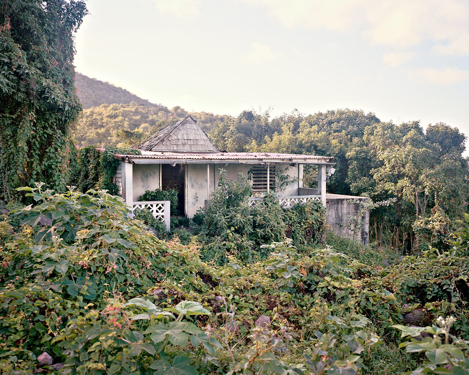 tyrell-chattel-nevis-house-saddle-hill.jpg