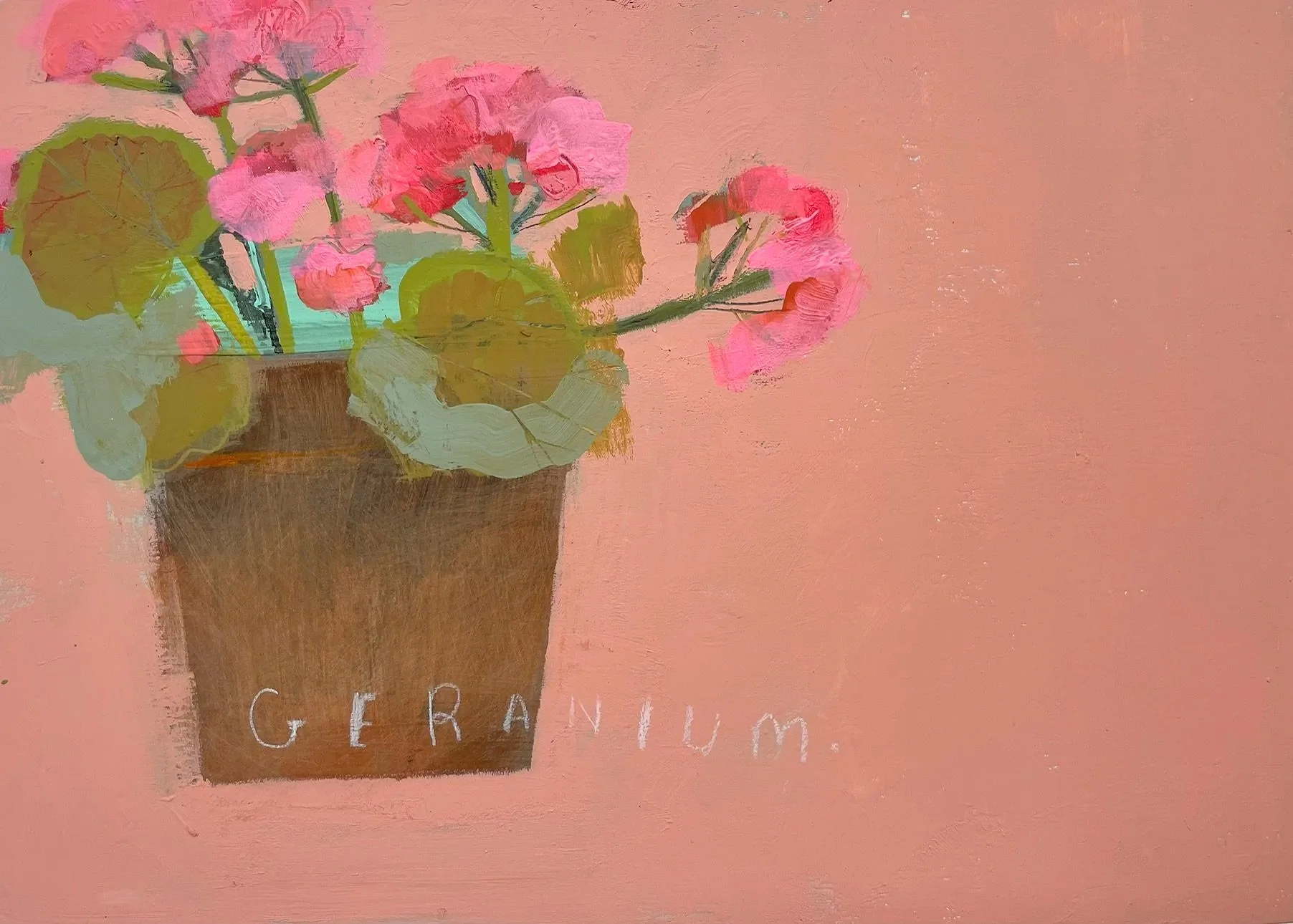 Geranium.jpg