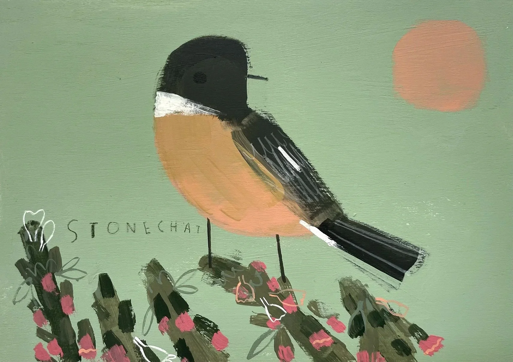 Stonechat.jpg