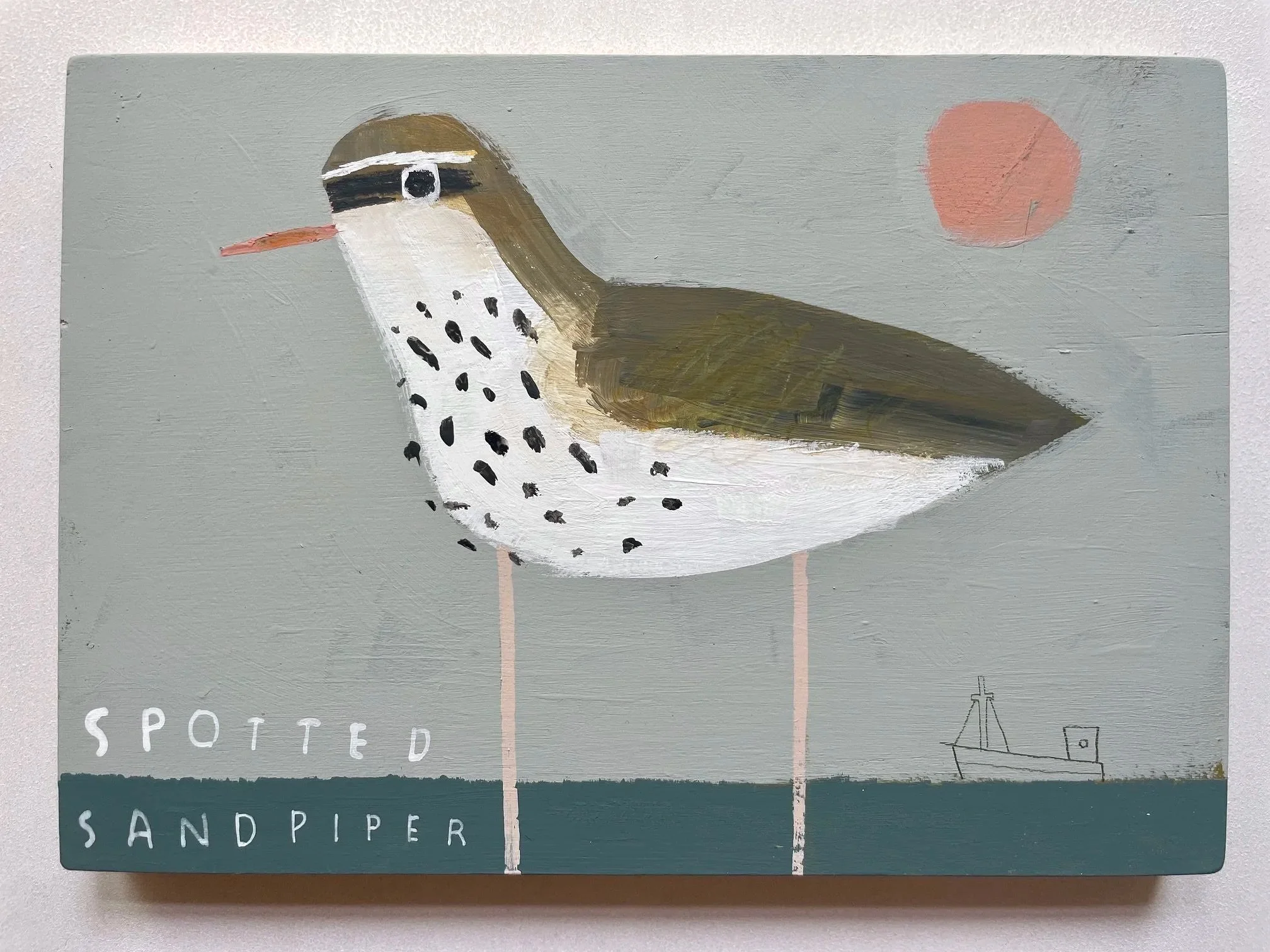 Spotted_Sandpiper2.jpg