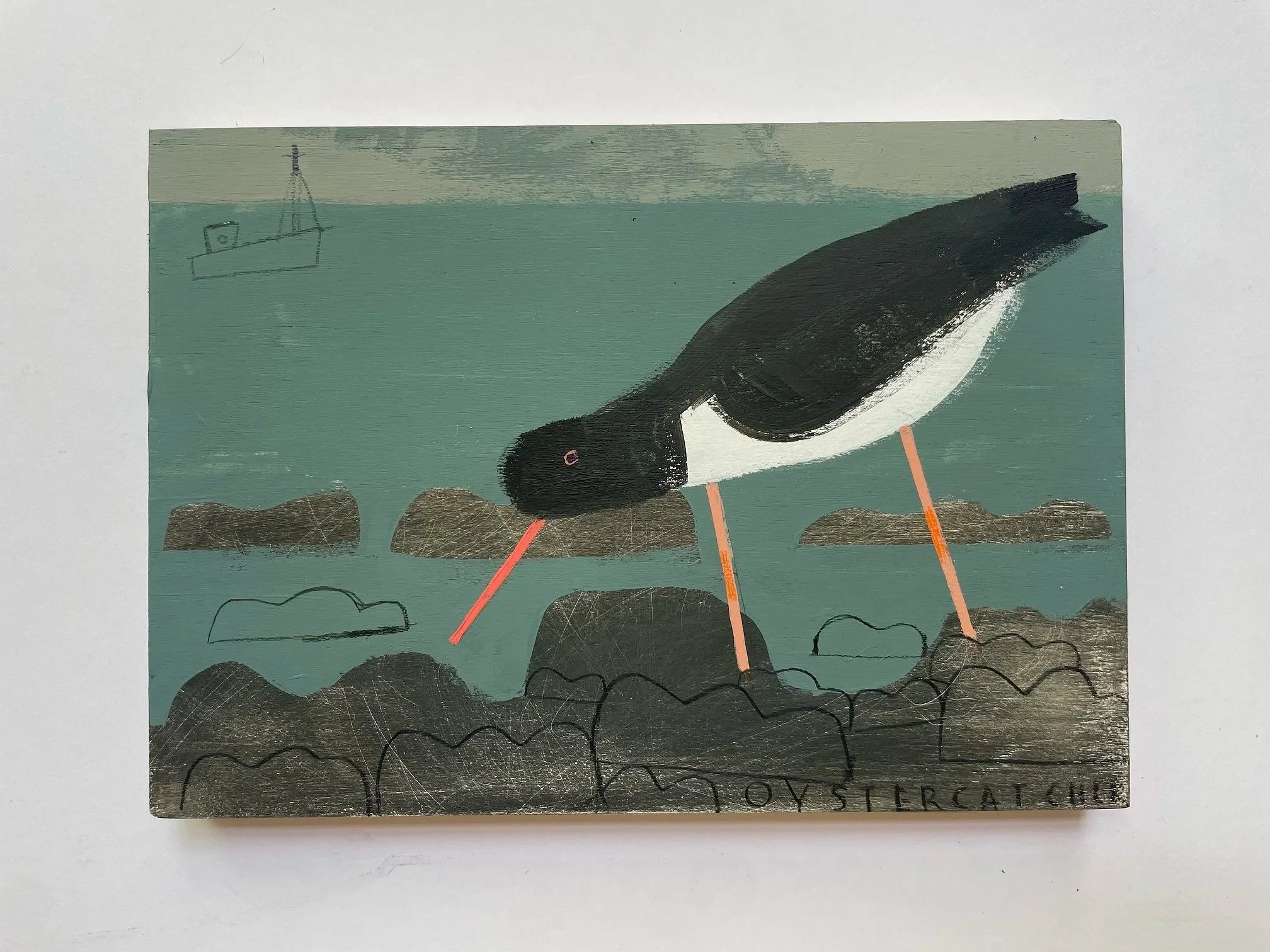 Oystercatcher_Bay2.jpg
