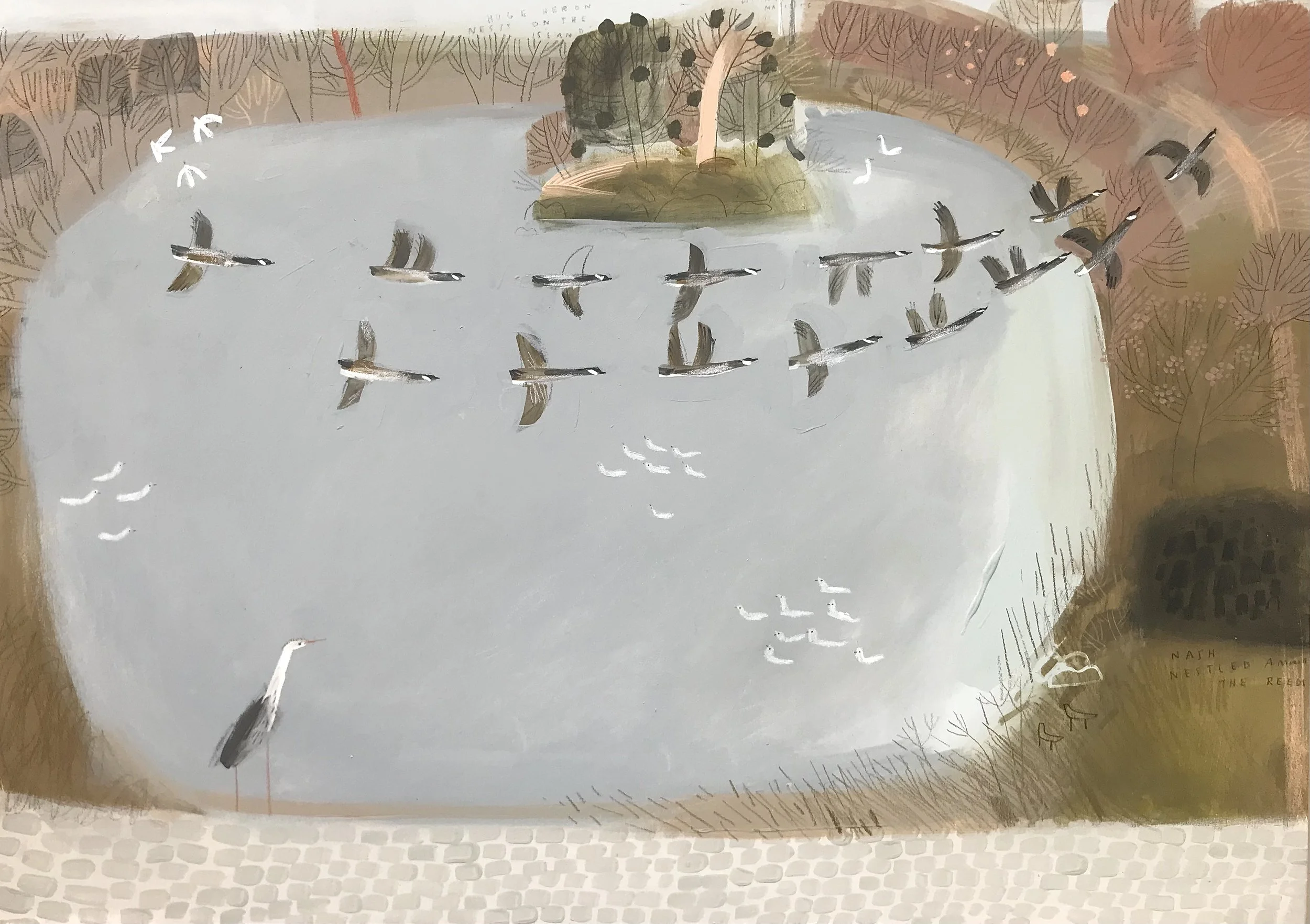 Birds at the Lower Lake