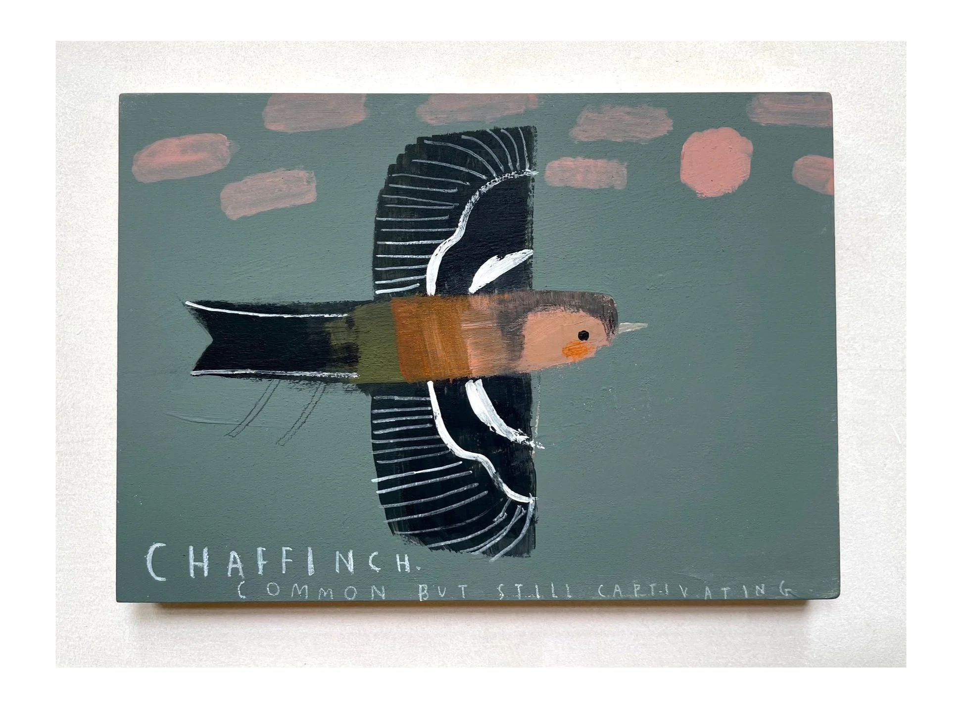 Chaffinch2.jpg