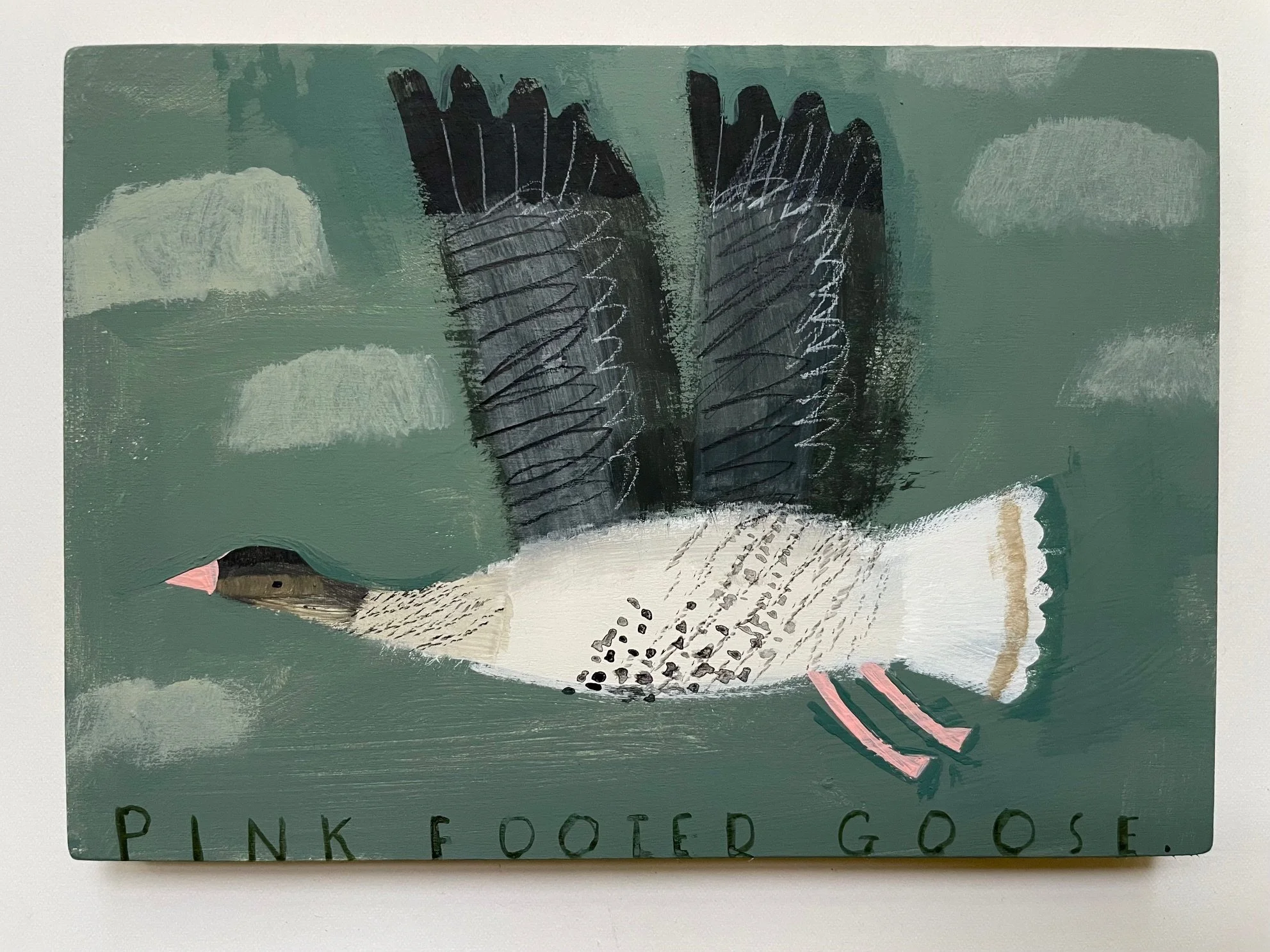 Pink_Footed_Goose.jpeg