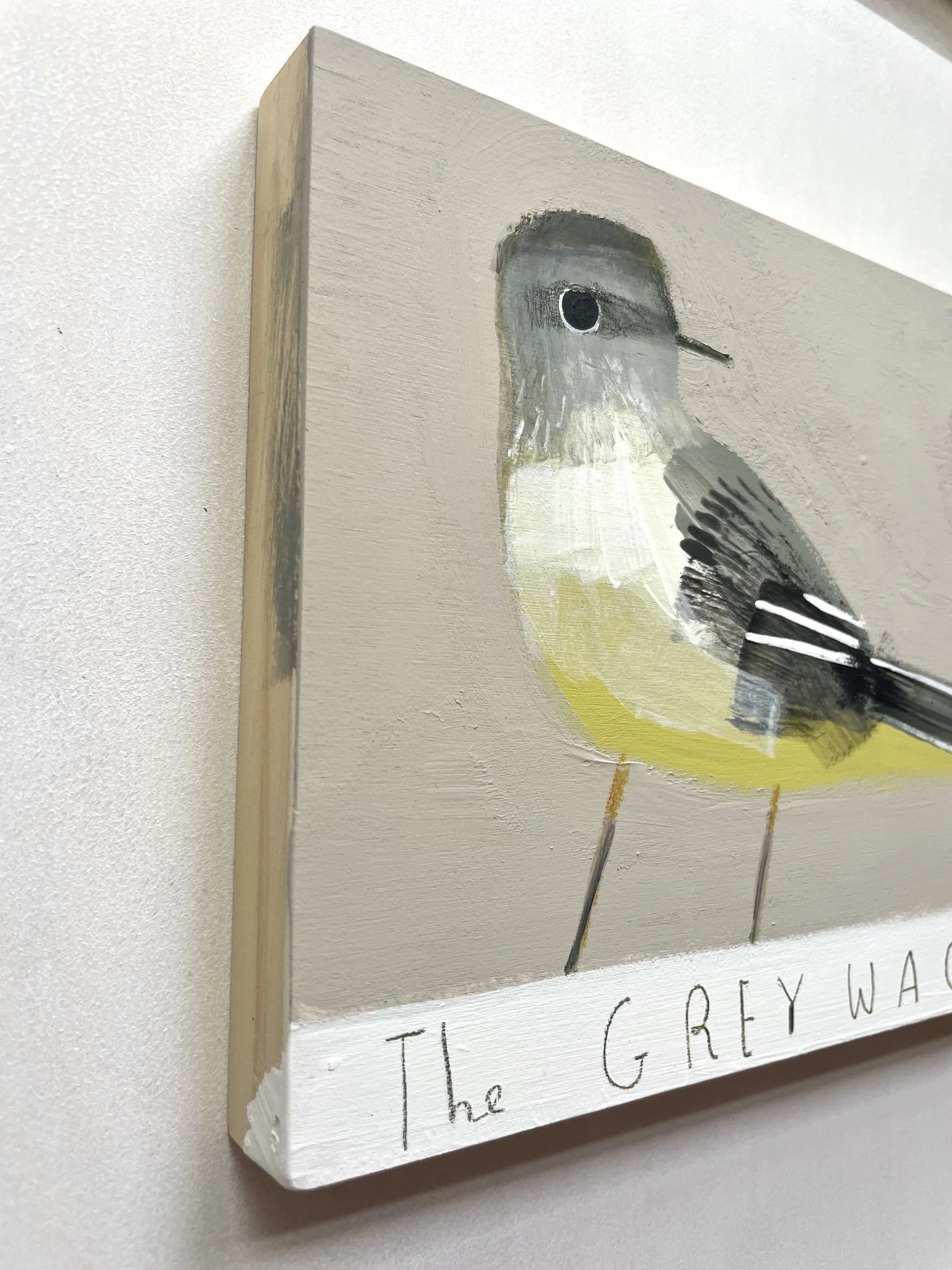GreyWagtail3.jpeg
