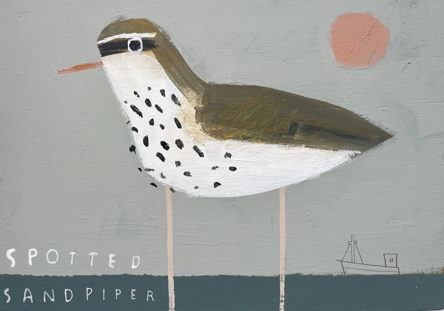 Spotted_Sandpiper.jpeg