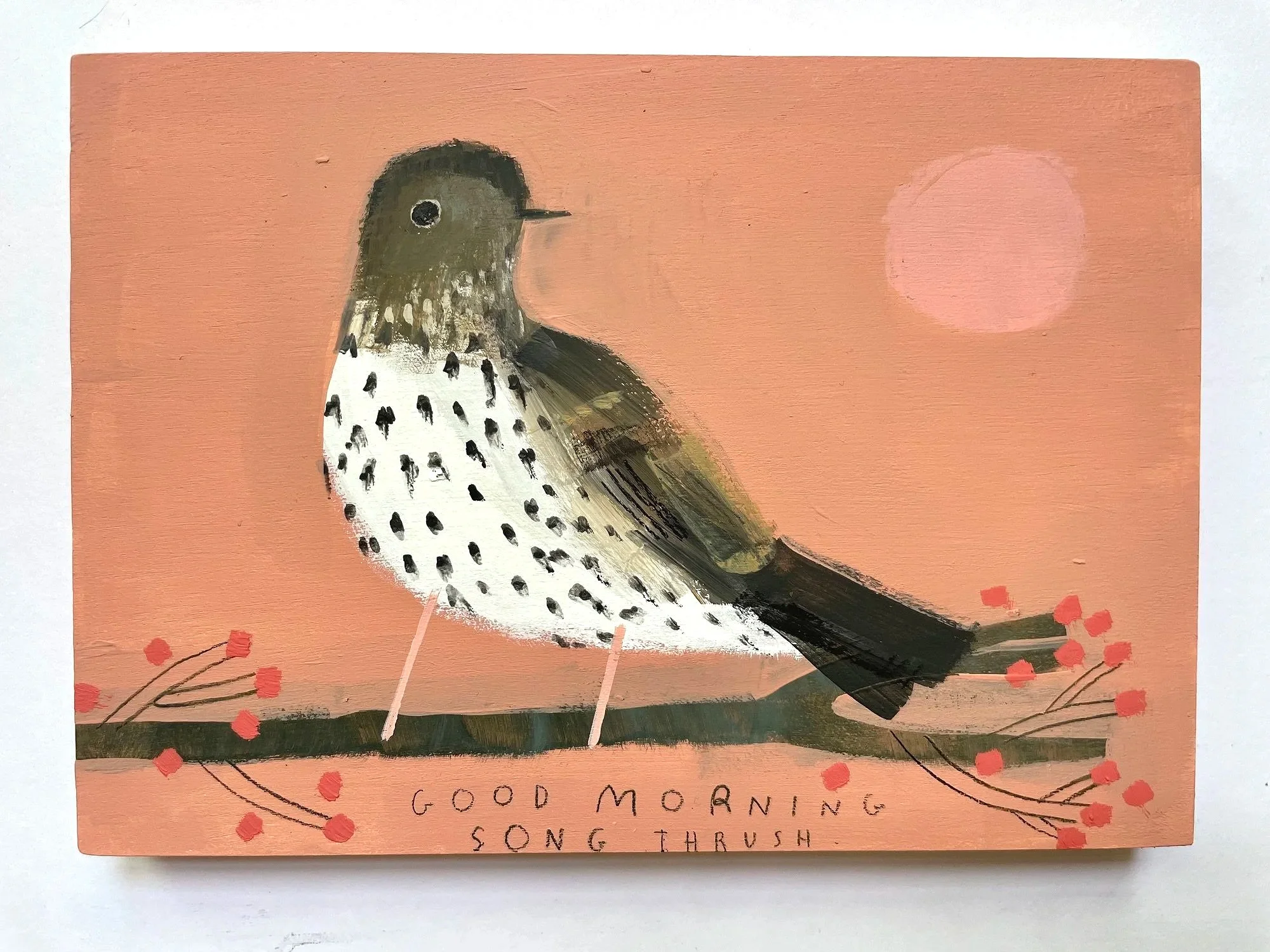 Song_Thrush_Morning2.jpg