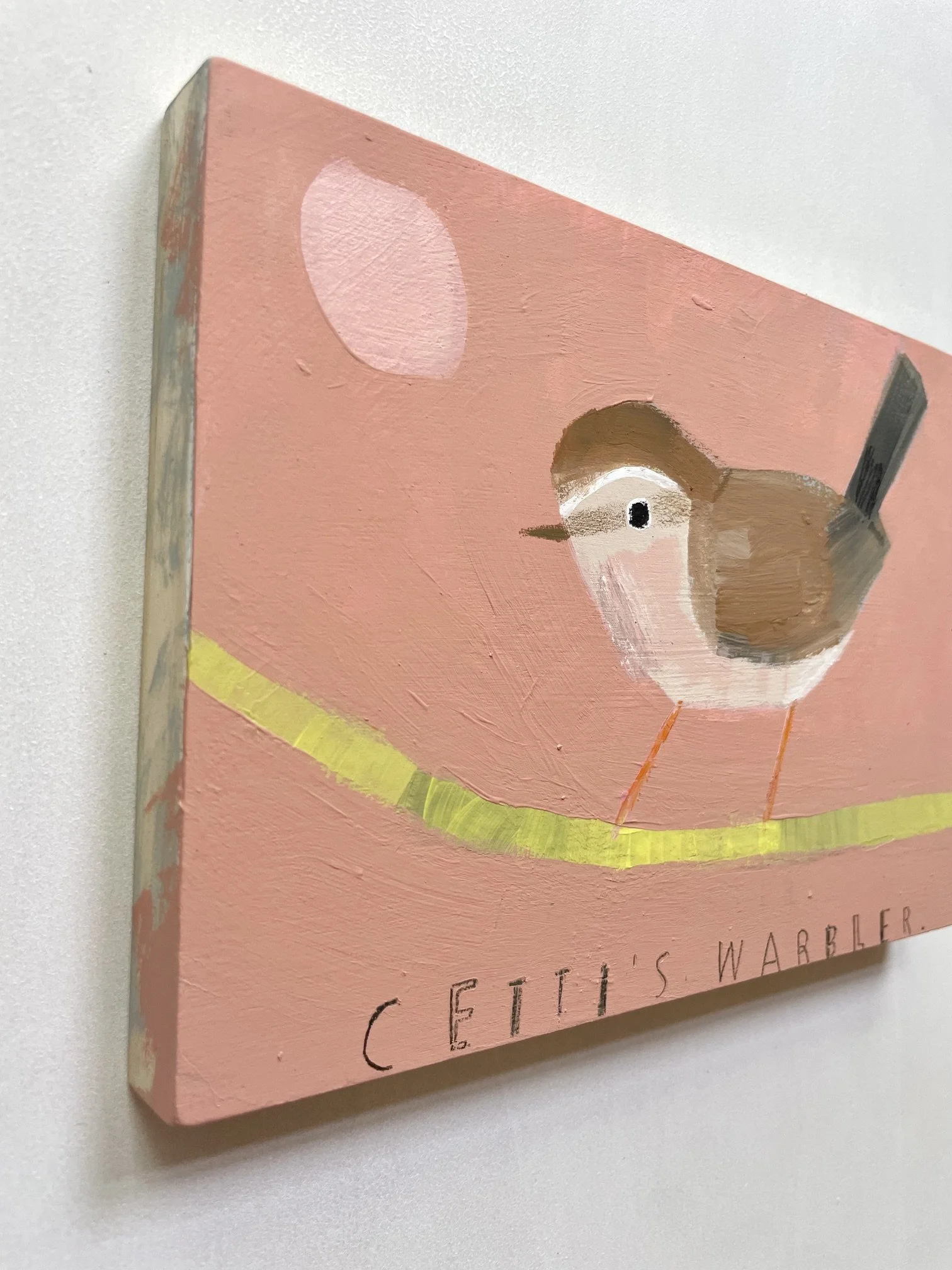 Cetti's_Warbler3.jpeg