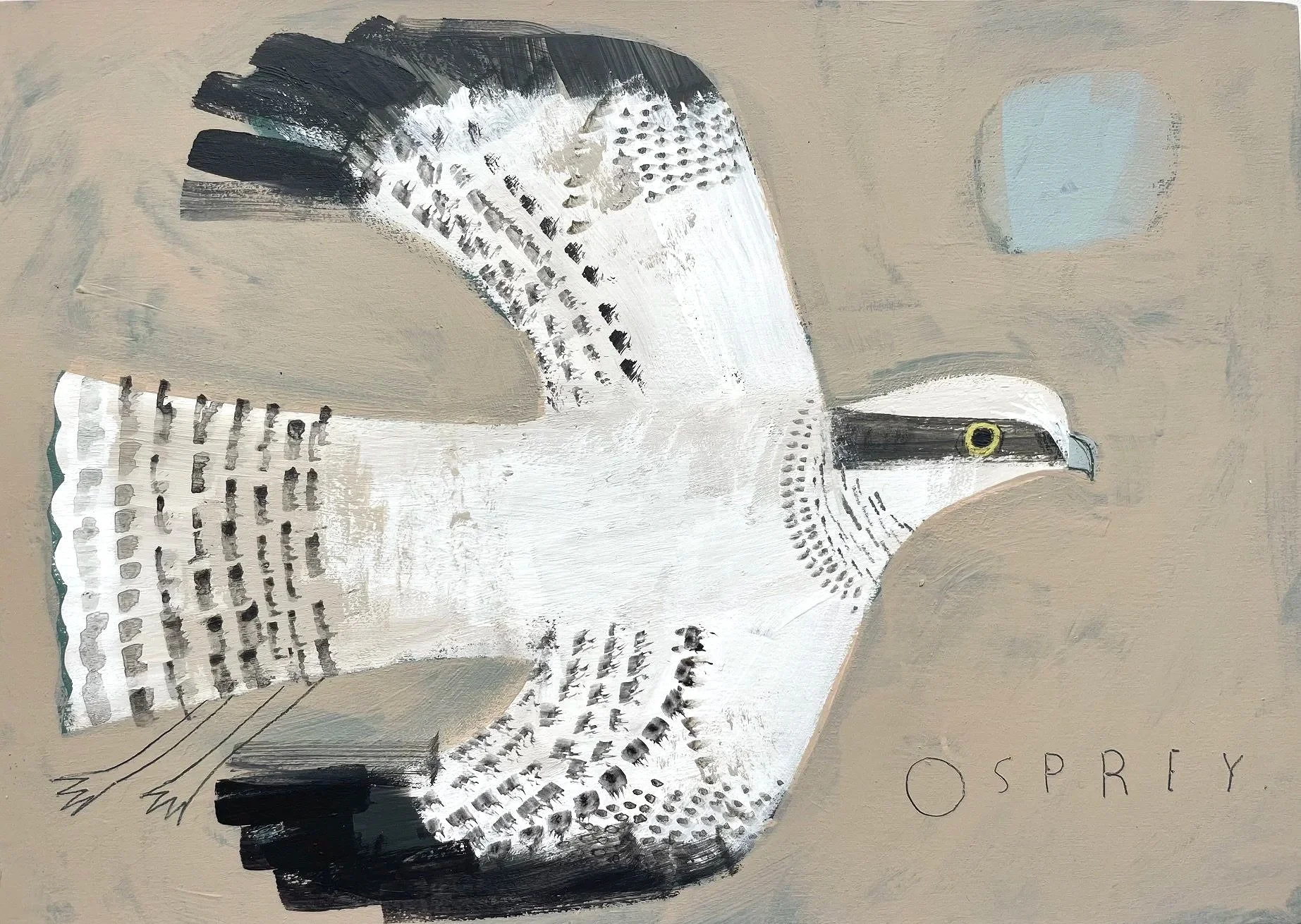 Osprey.jpg